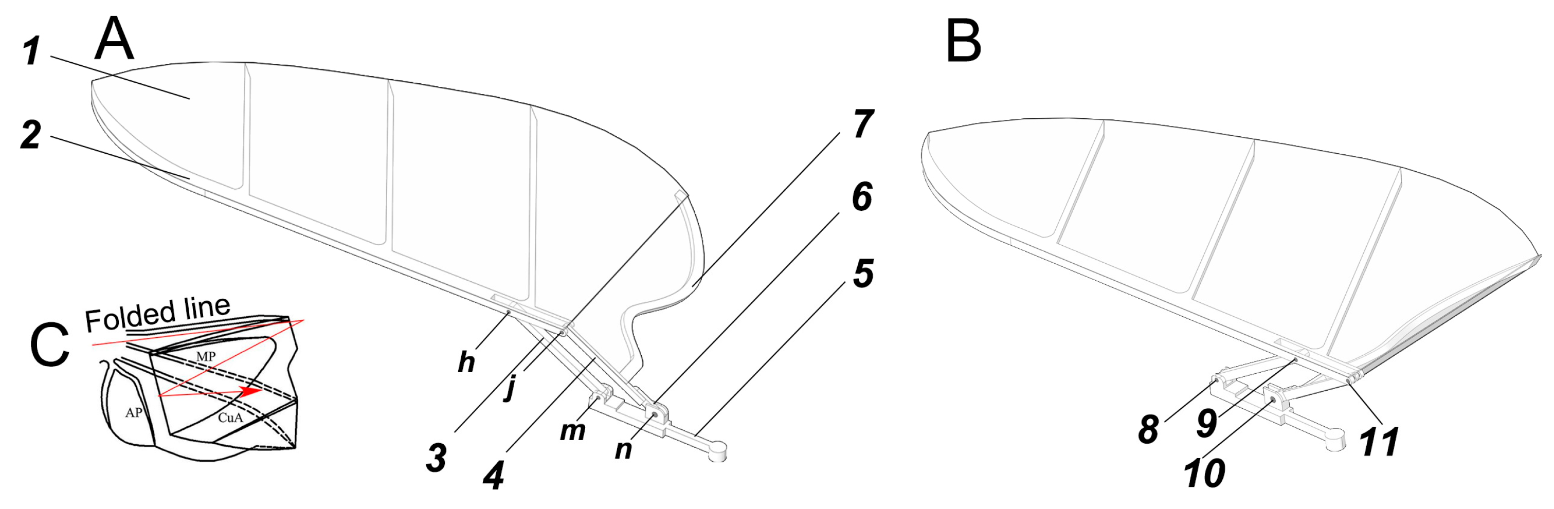 Biomimetics 09 00343 g003