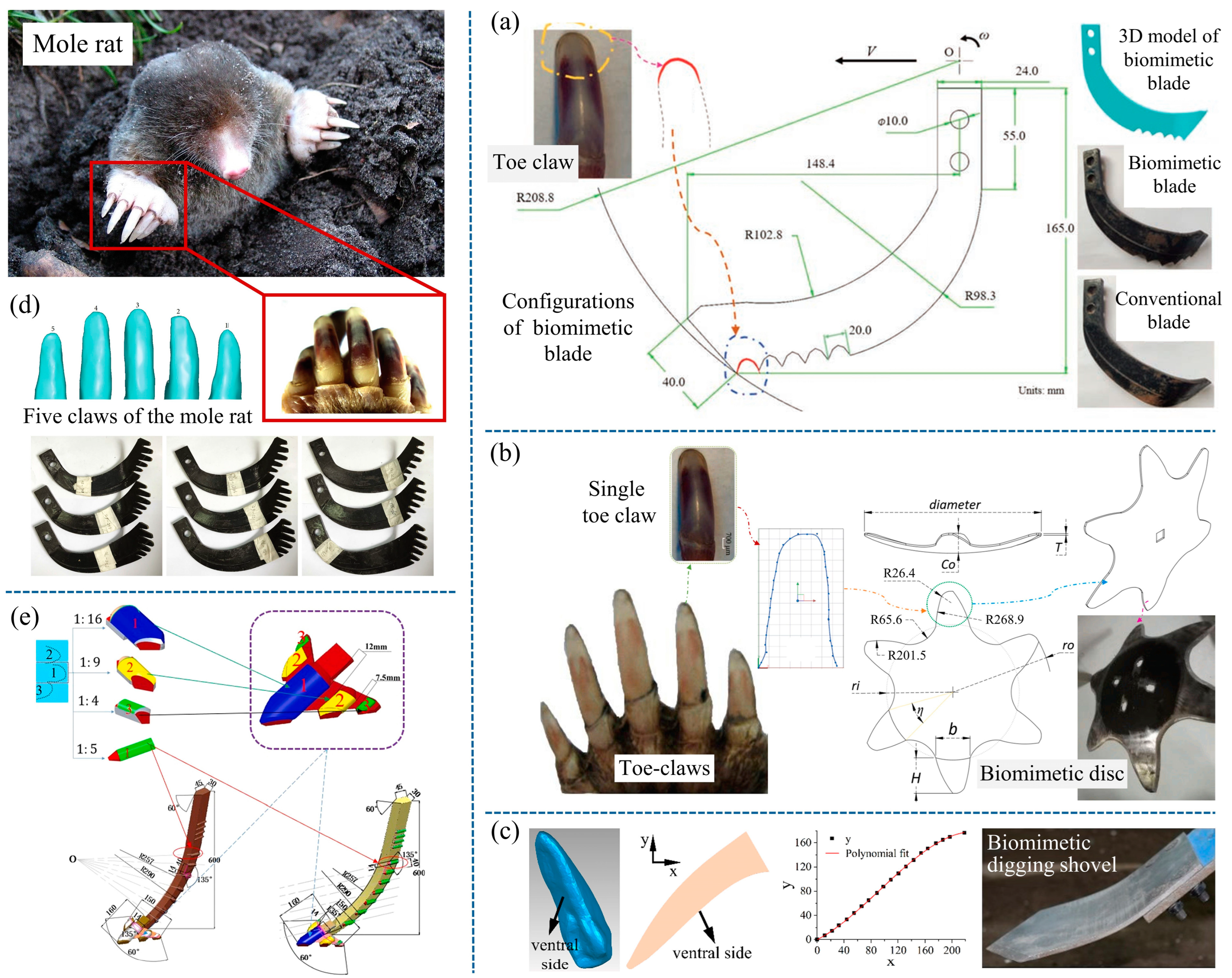 Biomimetics 09 00358 g002