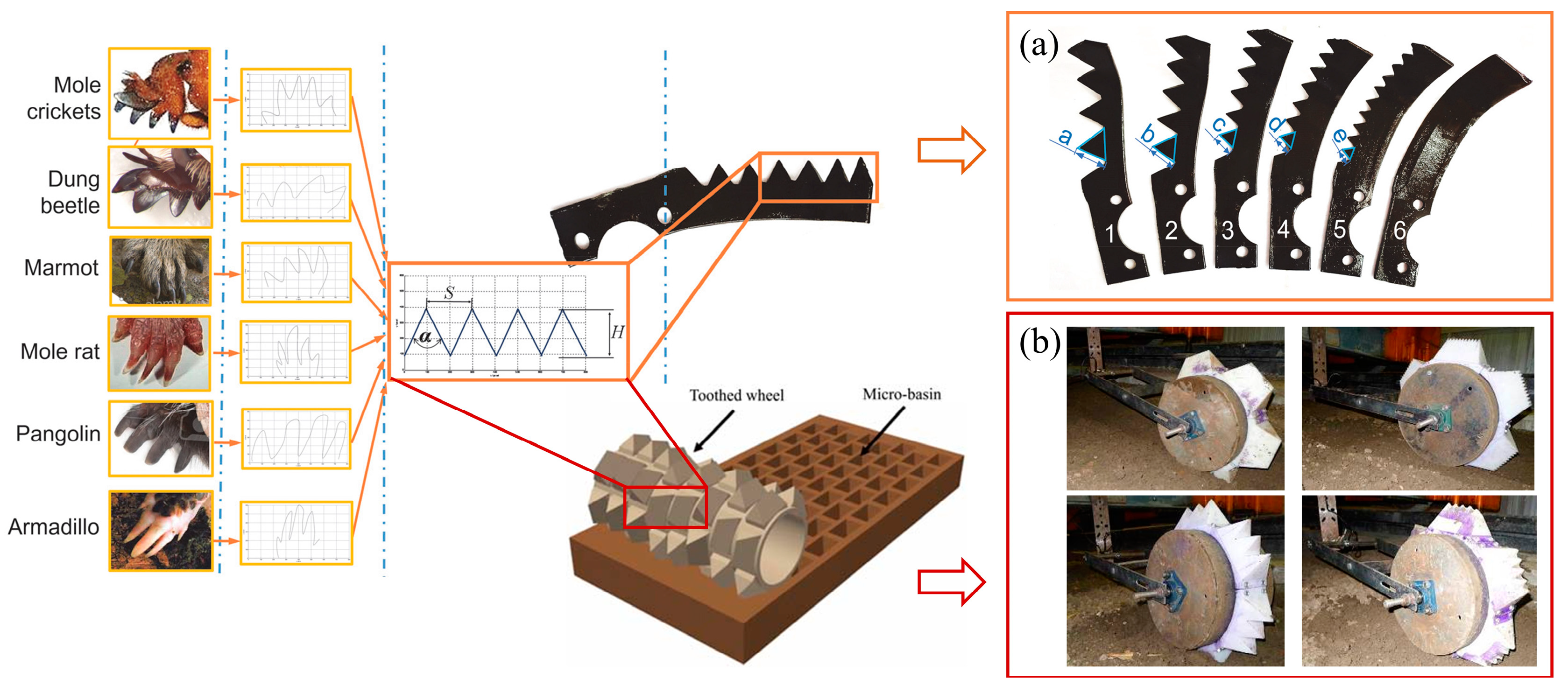 Biomimetics 09 00358 g005