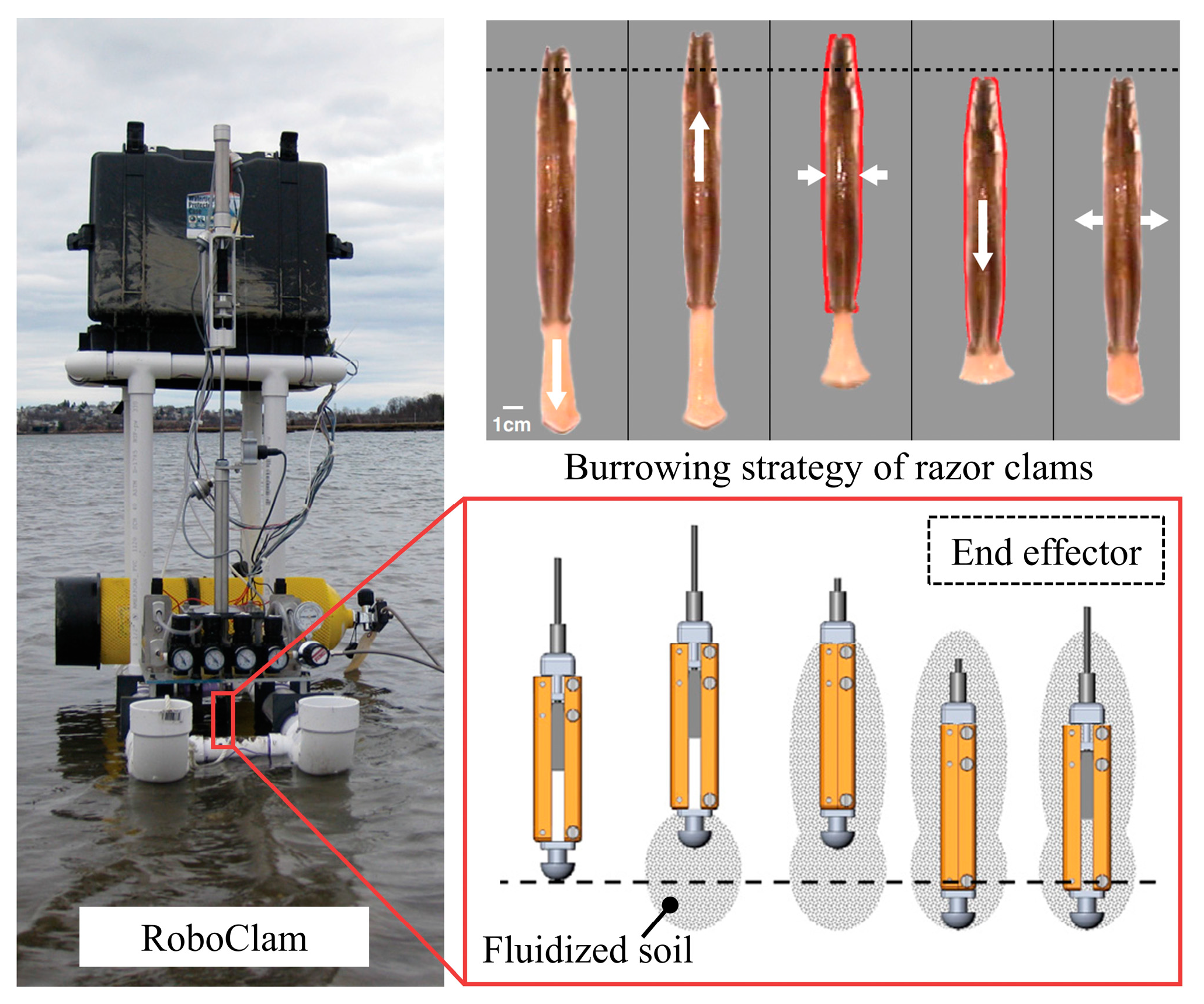 Biomimetics 09 00358 g008