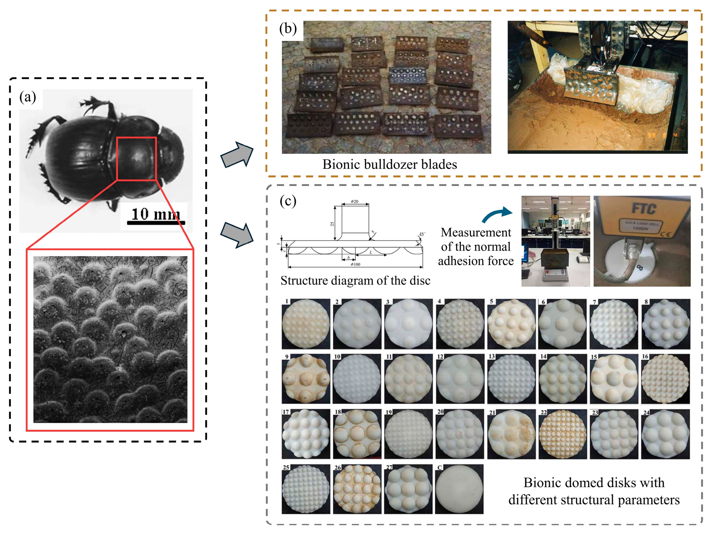 Biomimetics 09 00358 g010
