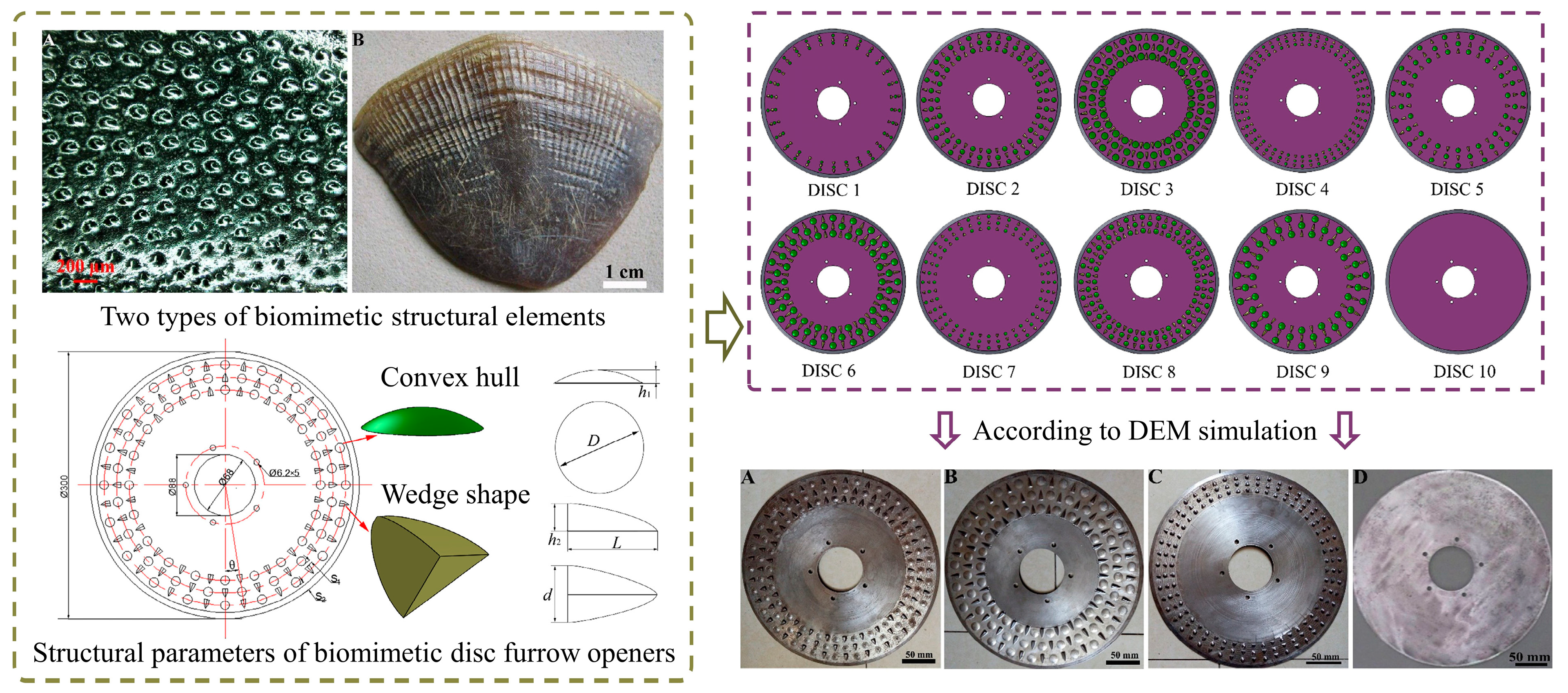 Biomimetics 09 00358 g013