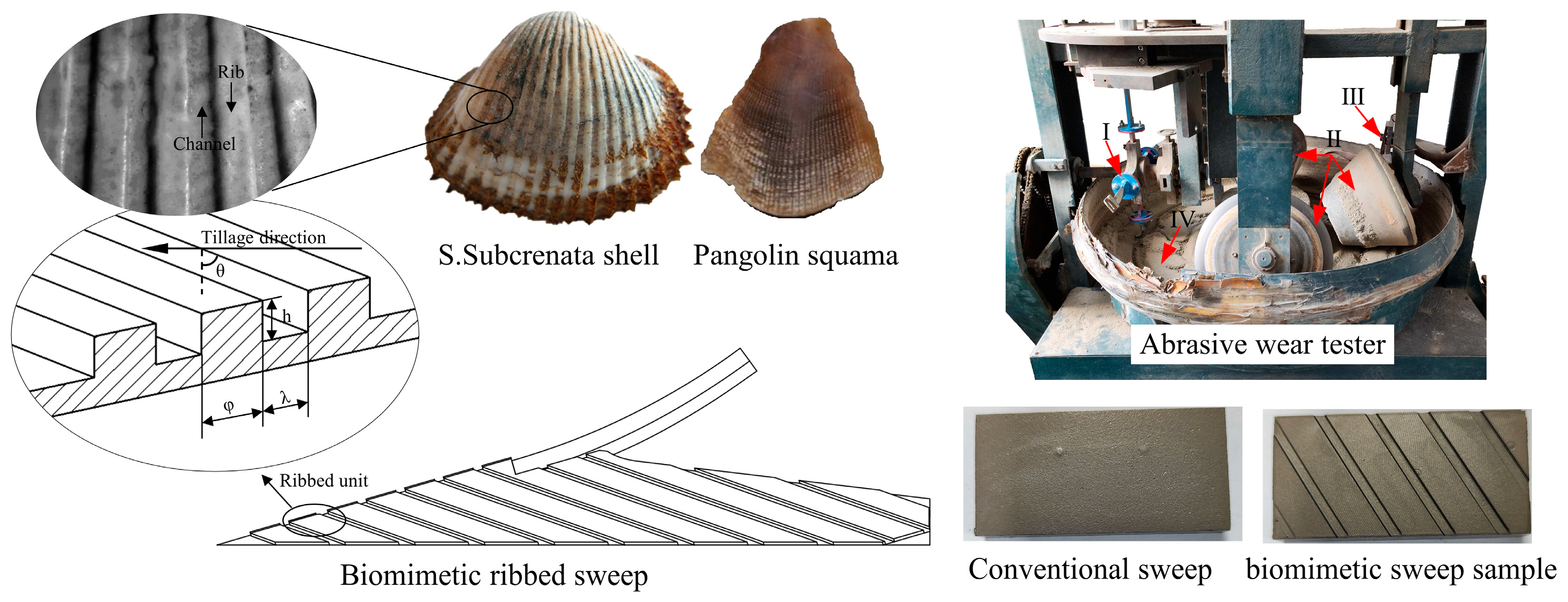 Biomimetics 09 00358 g017