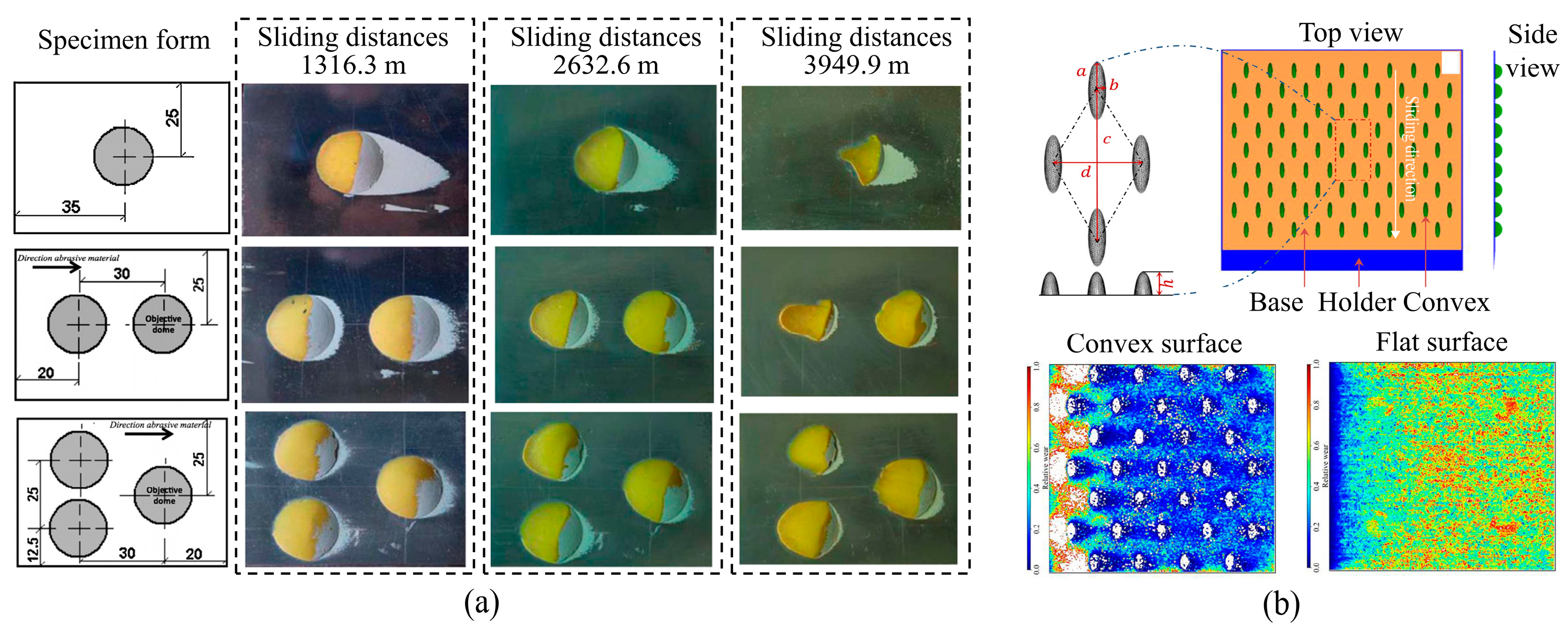 Biomimetics 09 00358 g018