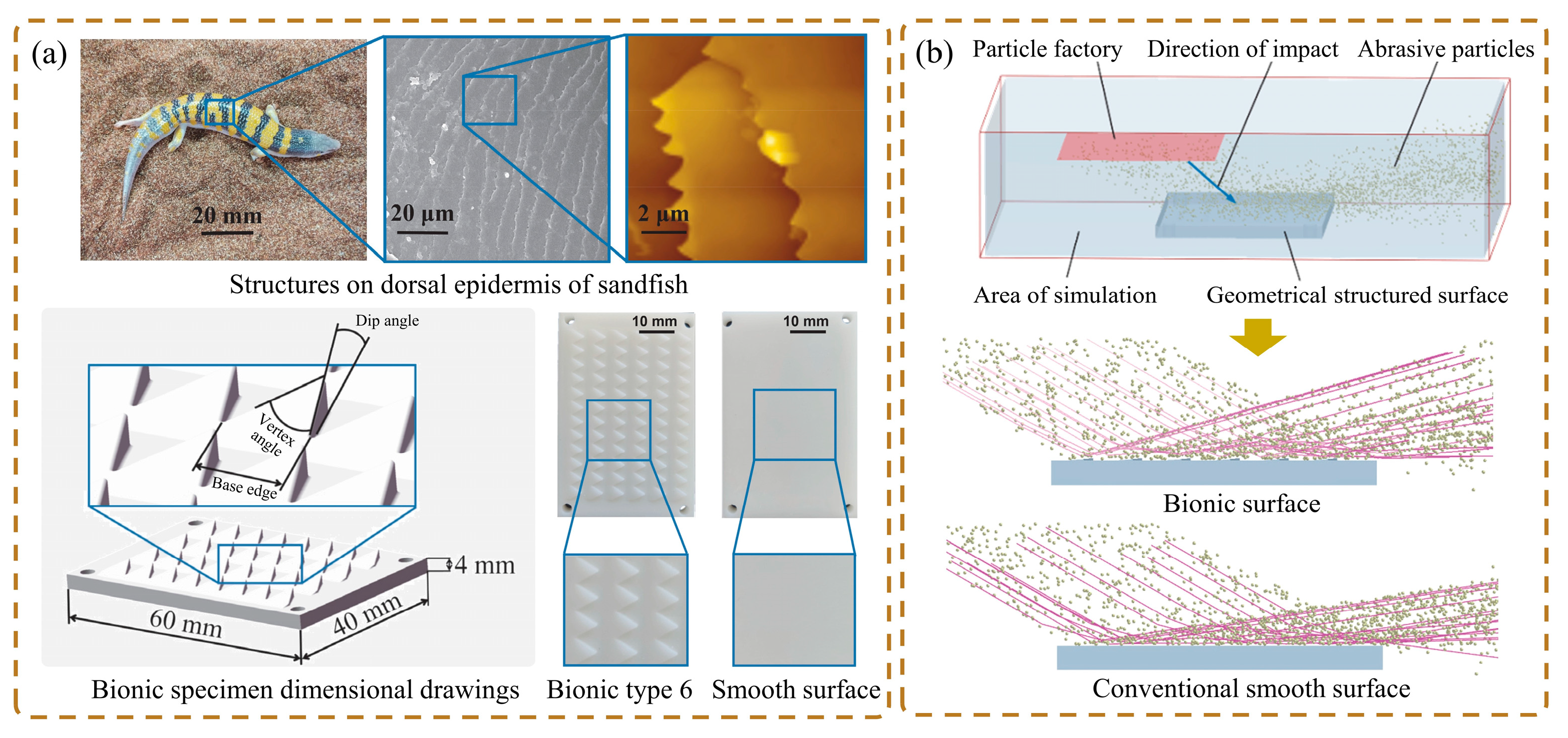 Biomimetics 09 00358 g019