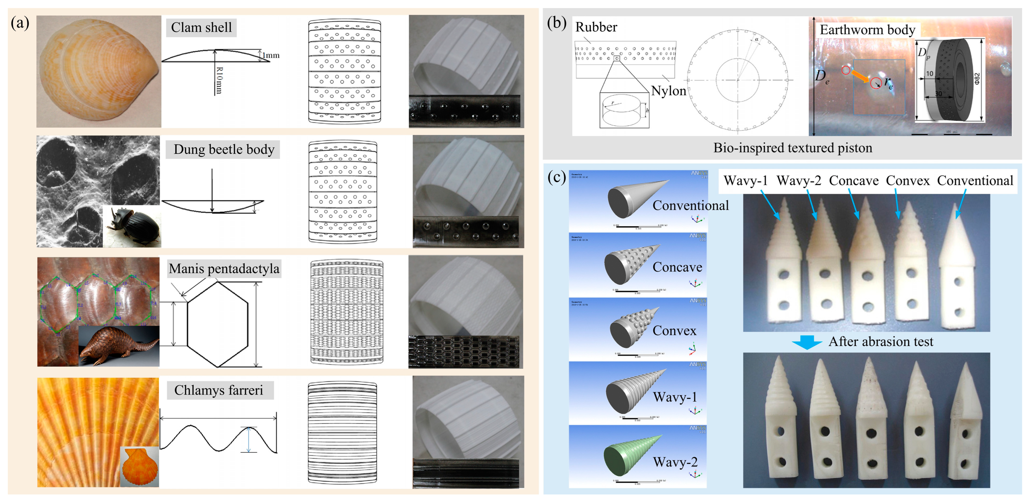Biomimetics 09 00358 g020