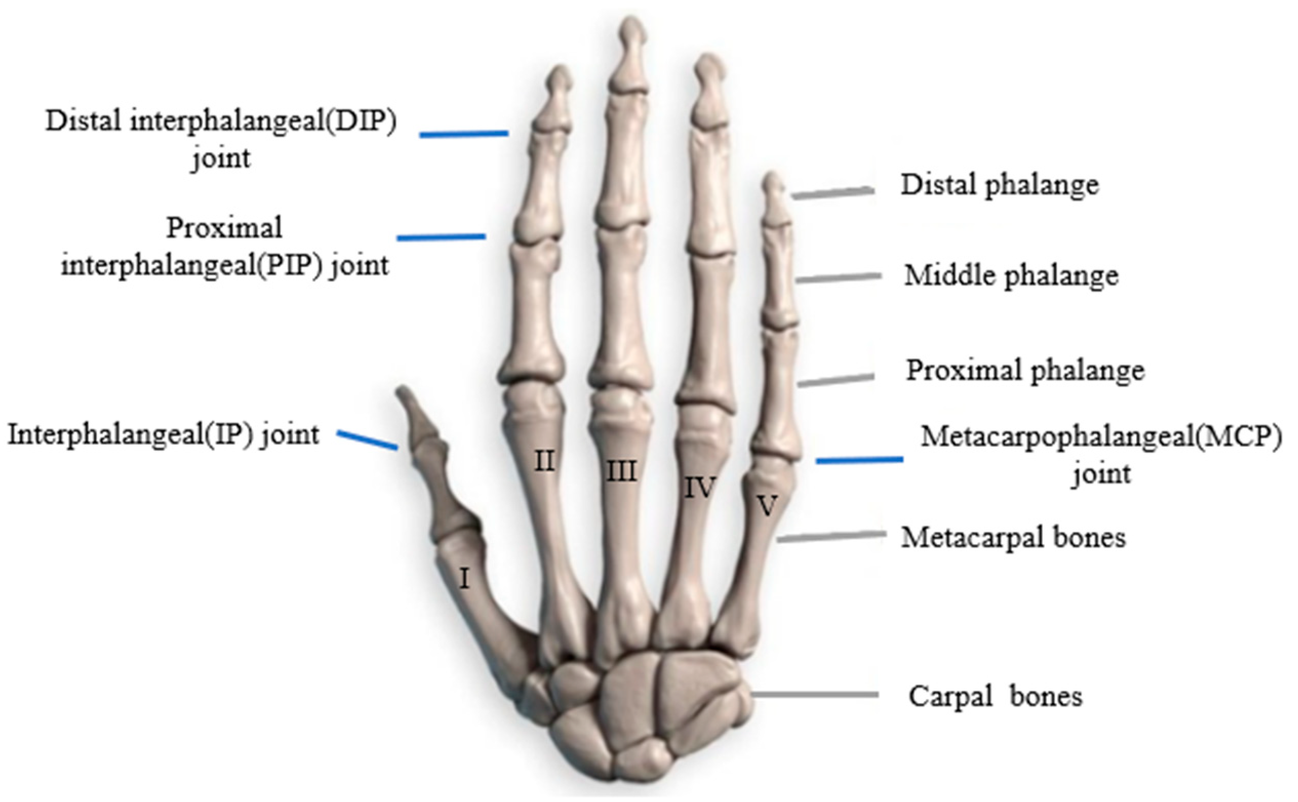 Biomimetics 09 00370 g001
