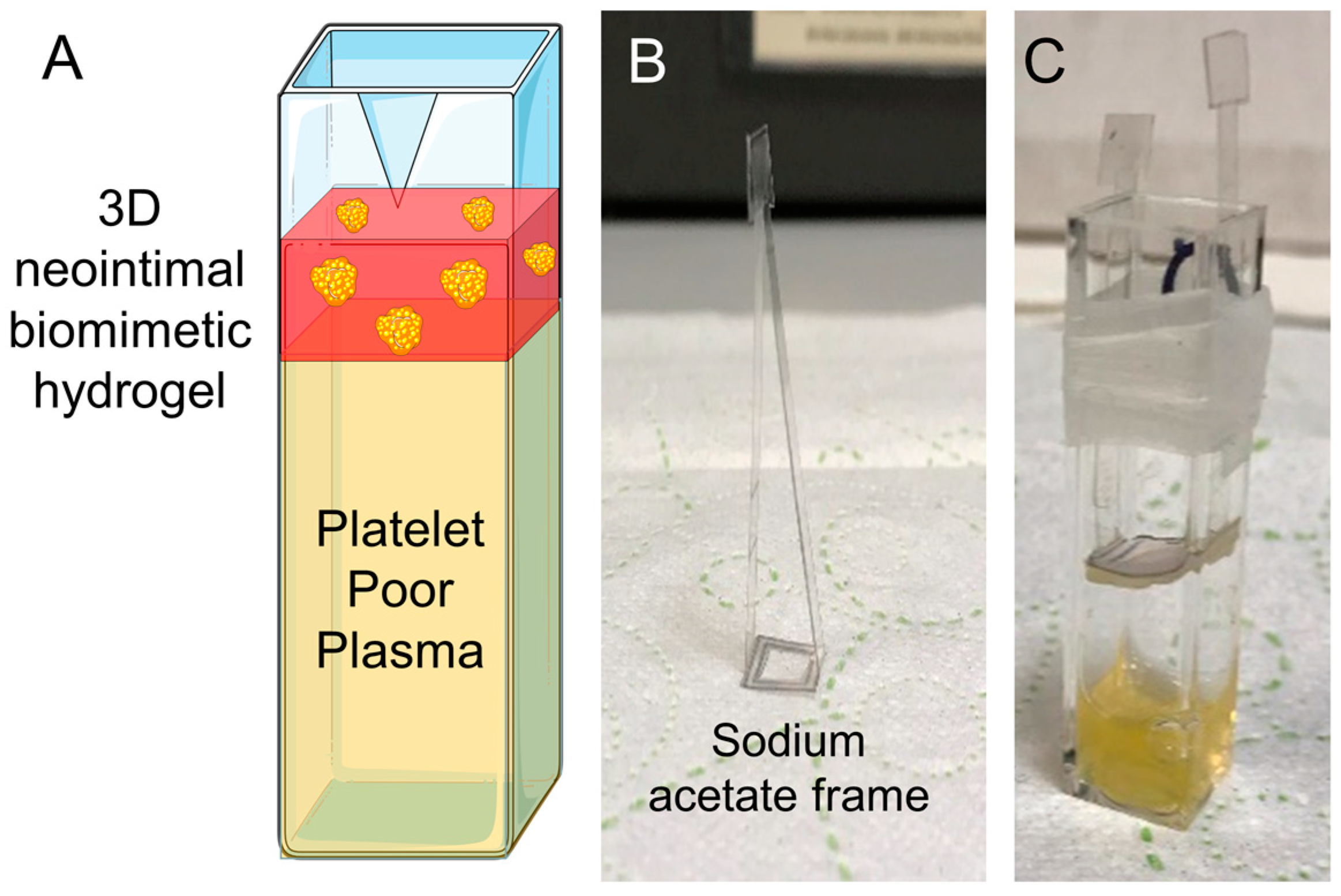 Biomimetics 09 00372 g001