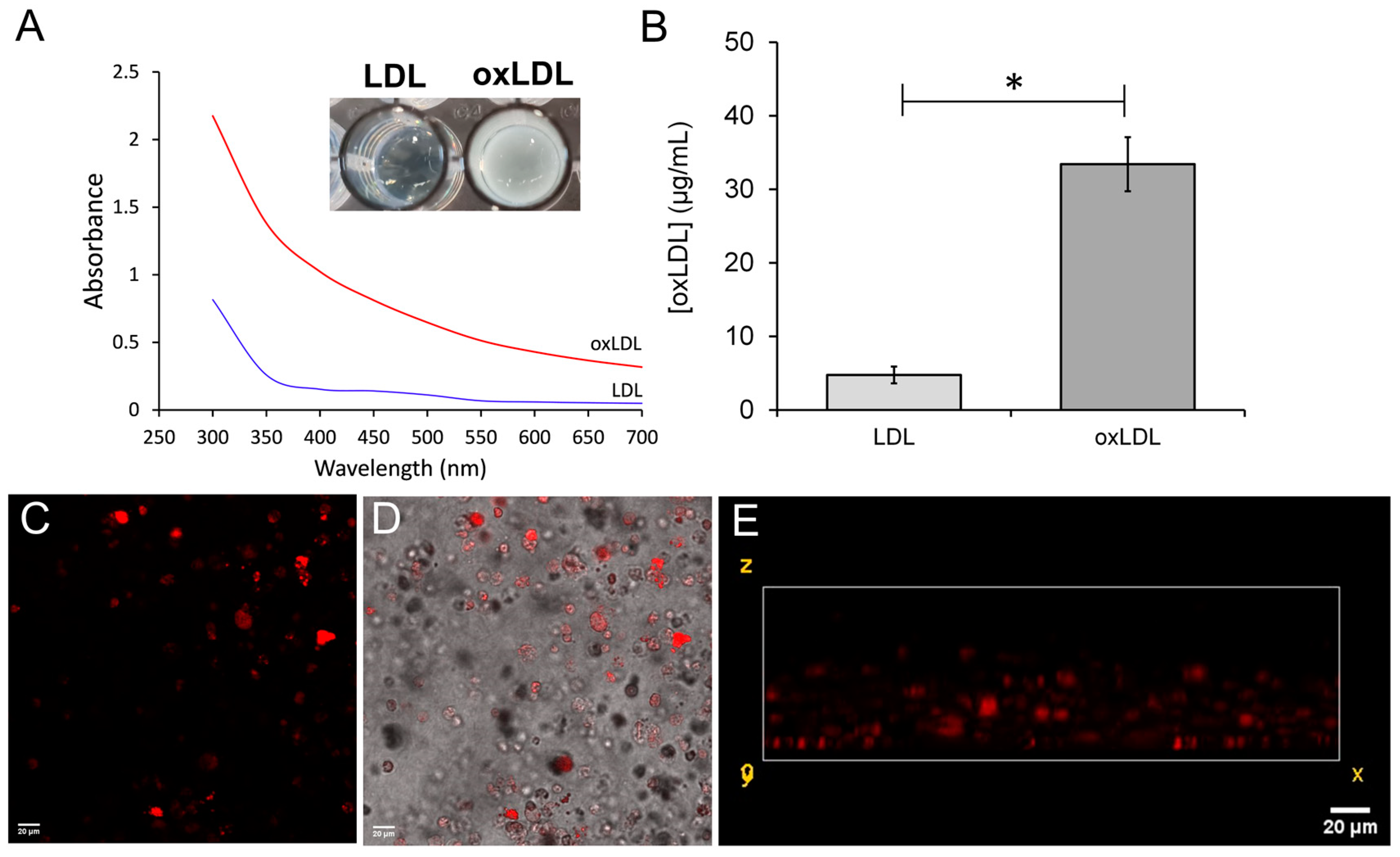 Biomimetics 09 00372 g003