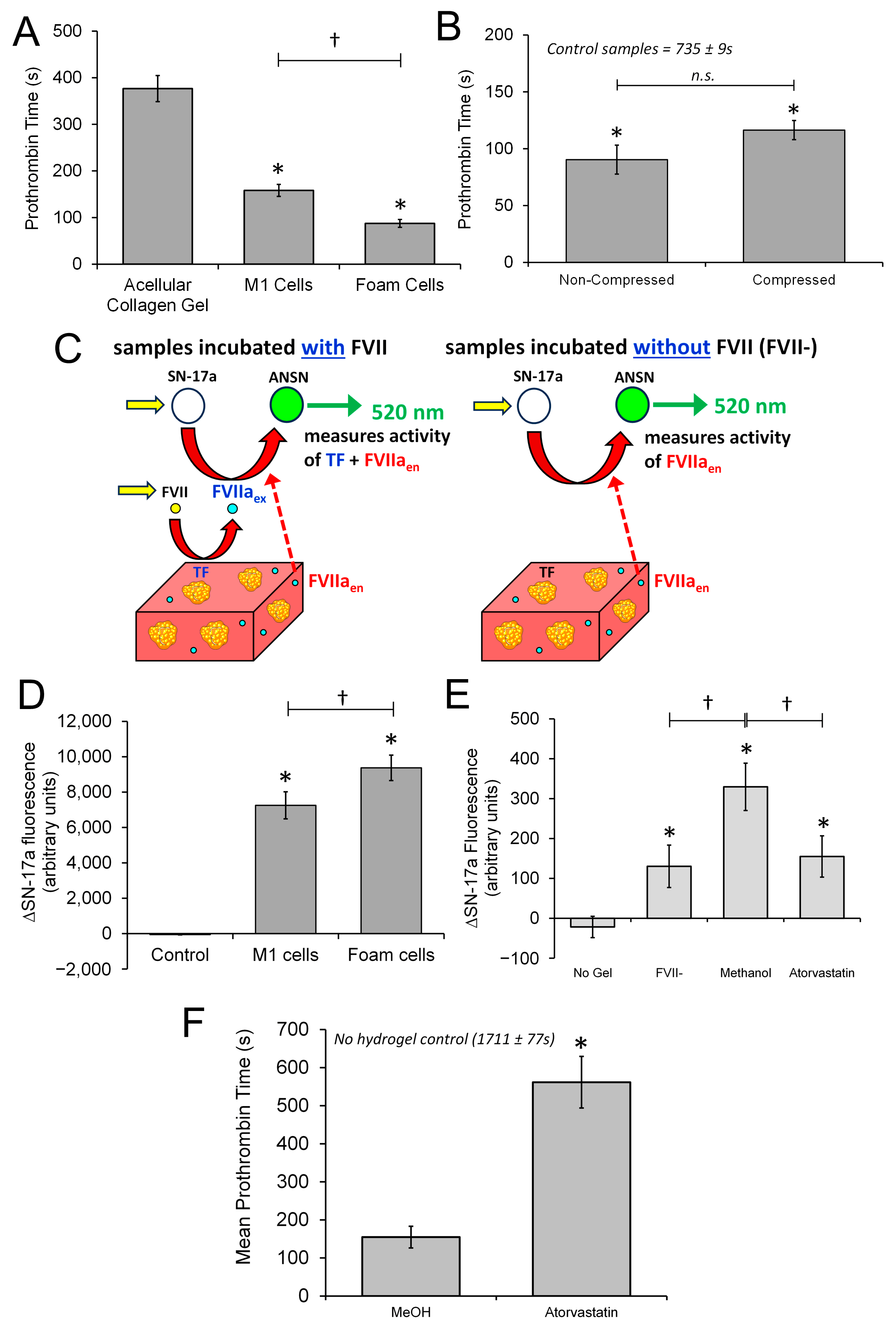 Biomimetics 09 00372 g006