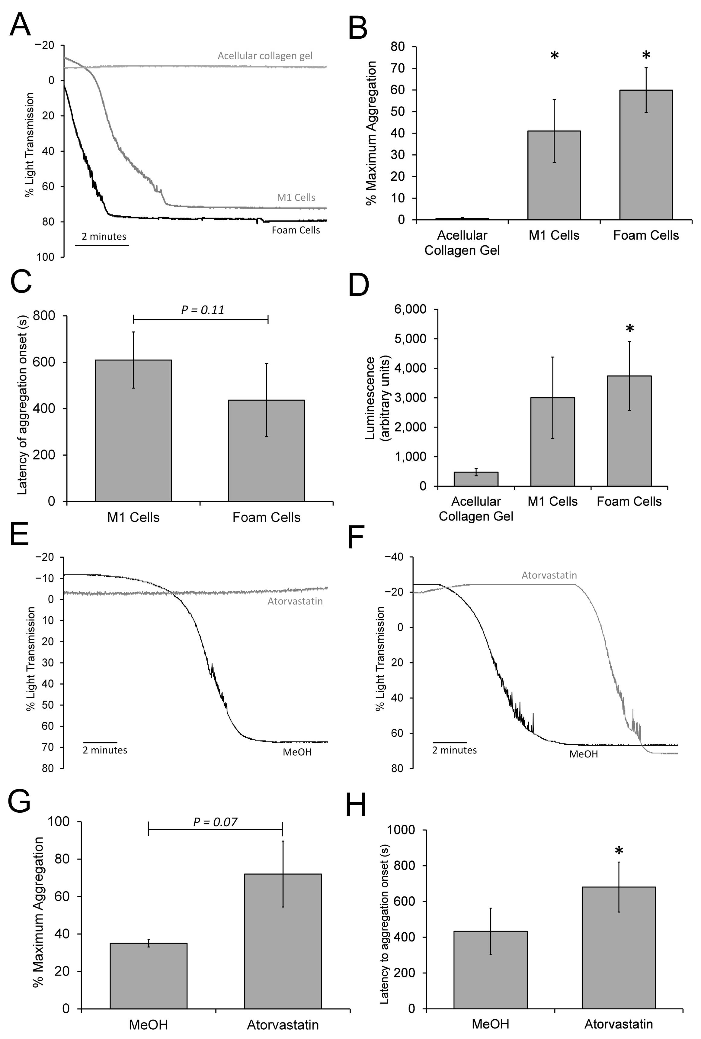Biomimetics 09 00372 g007
