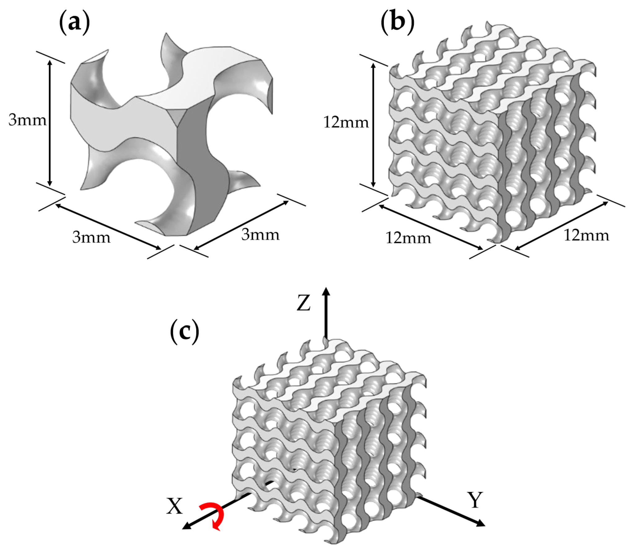 Biomimetics 09 00392 g001