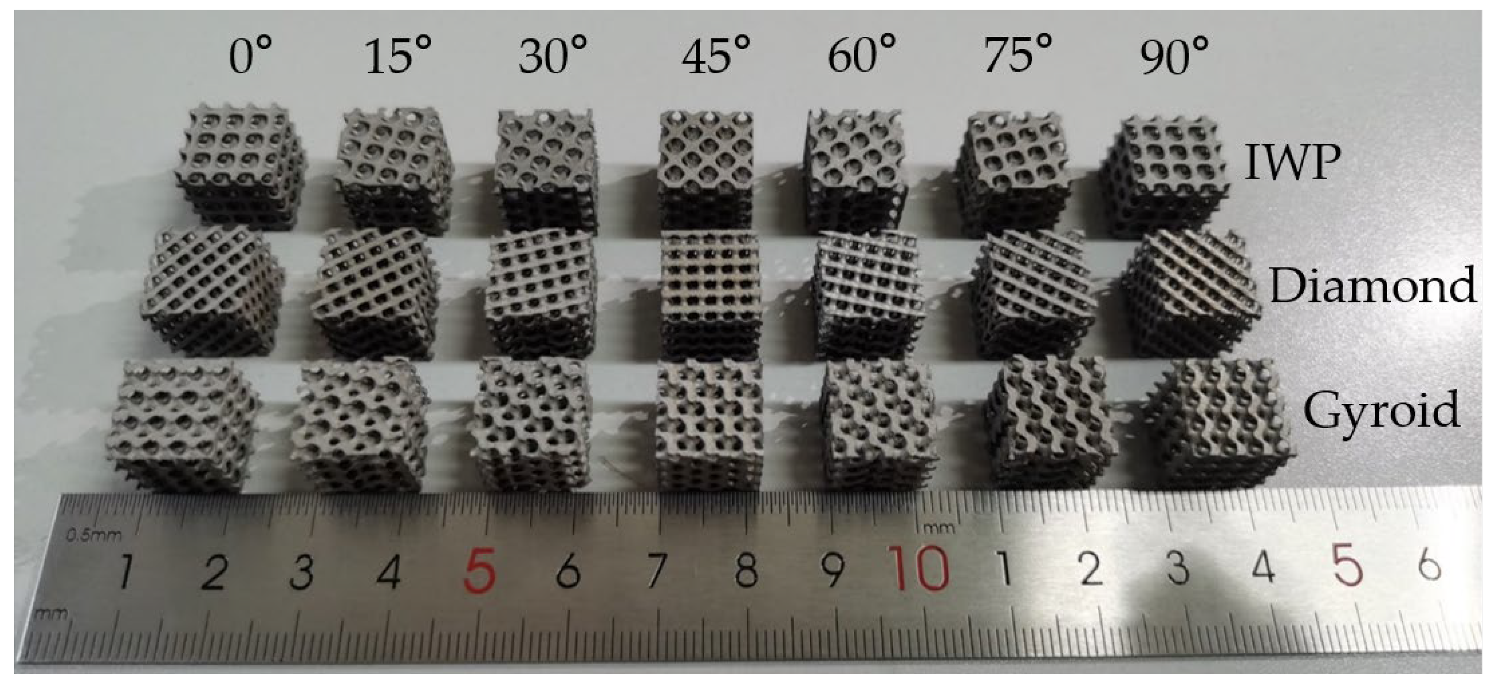 Biomimetics 09 00392 g003