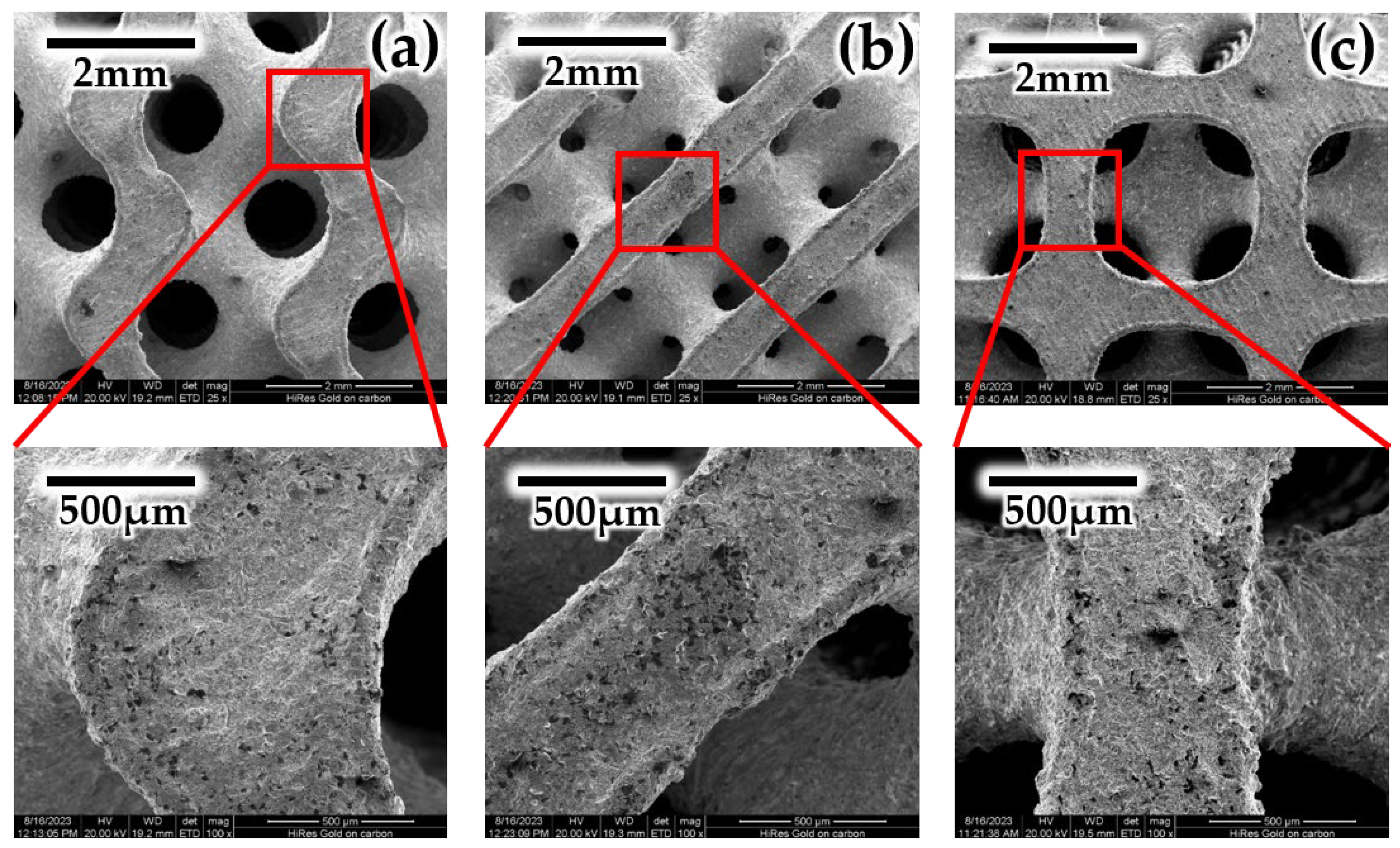 Biomimetics 09 00392 g004