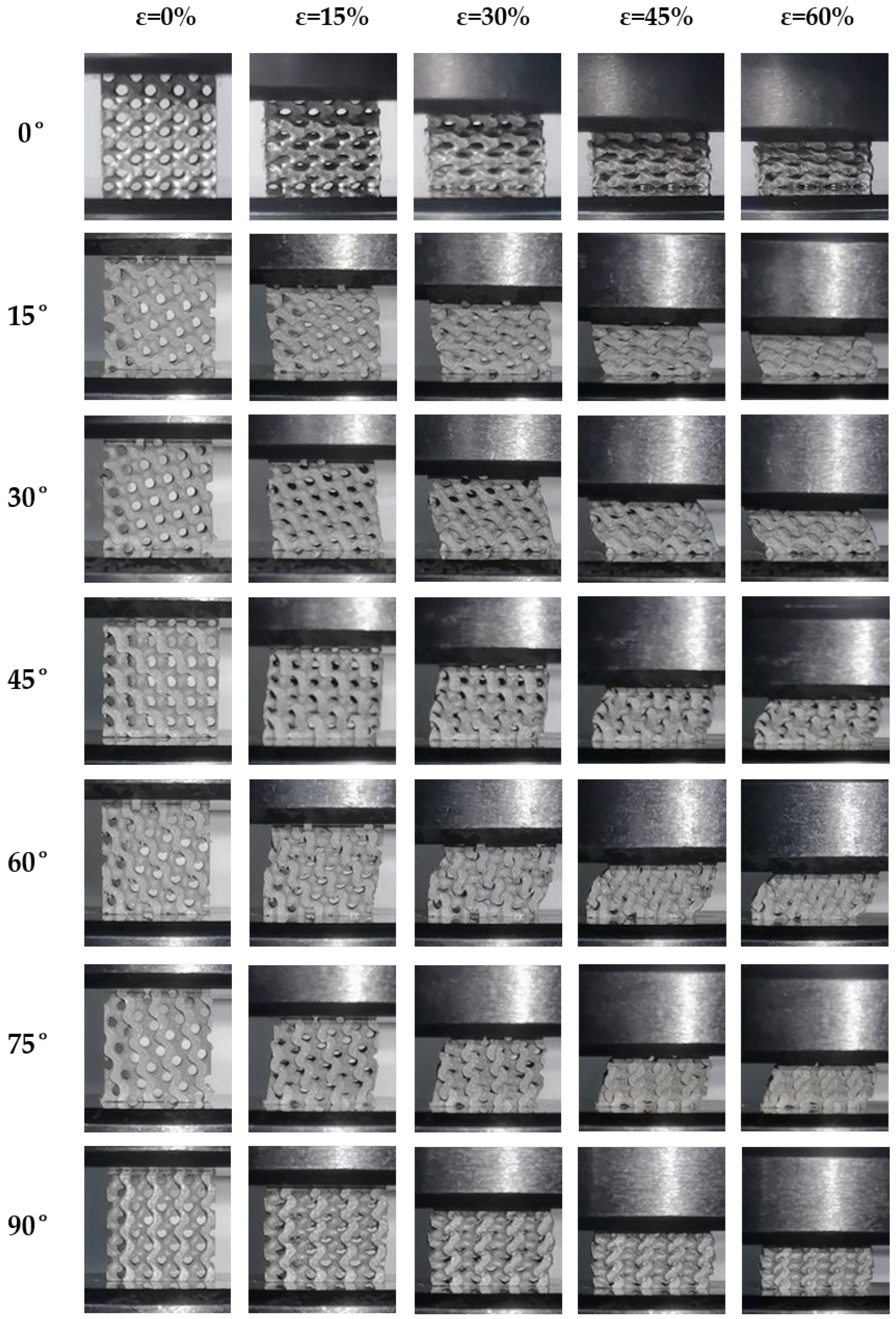 Biomimetics 09 00392 g010