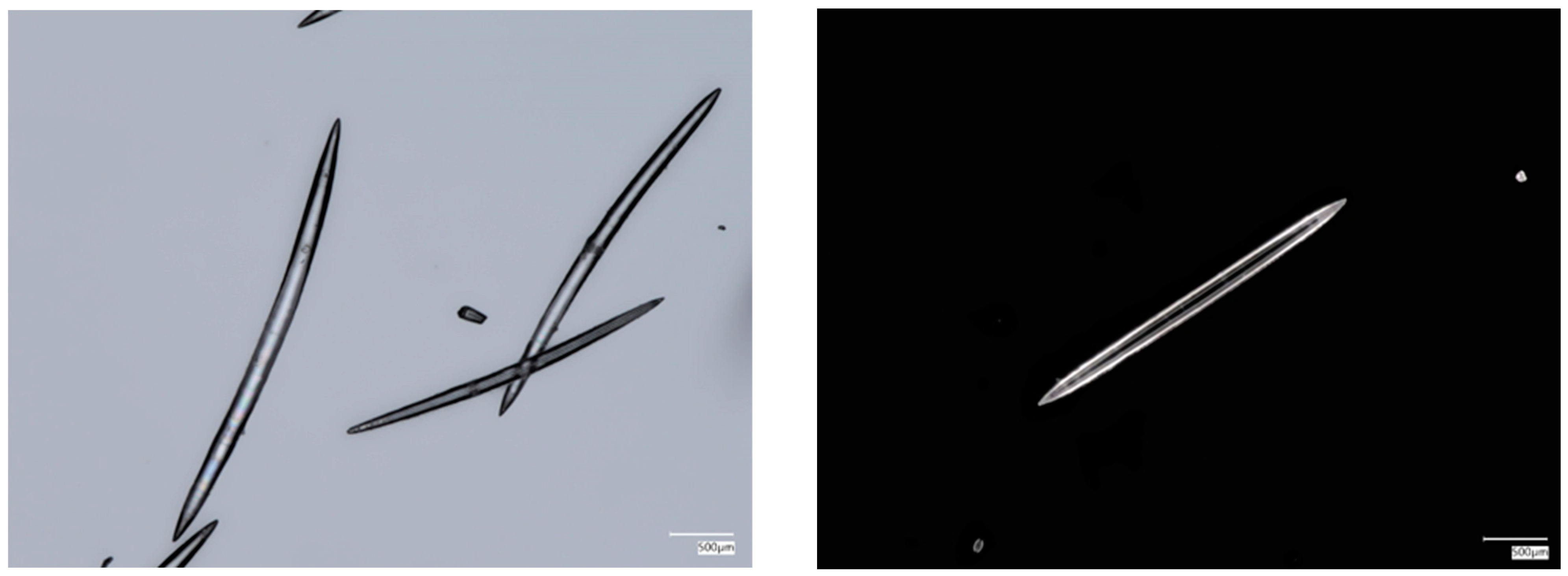 Biomimetics 09 00393 g001