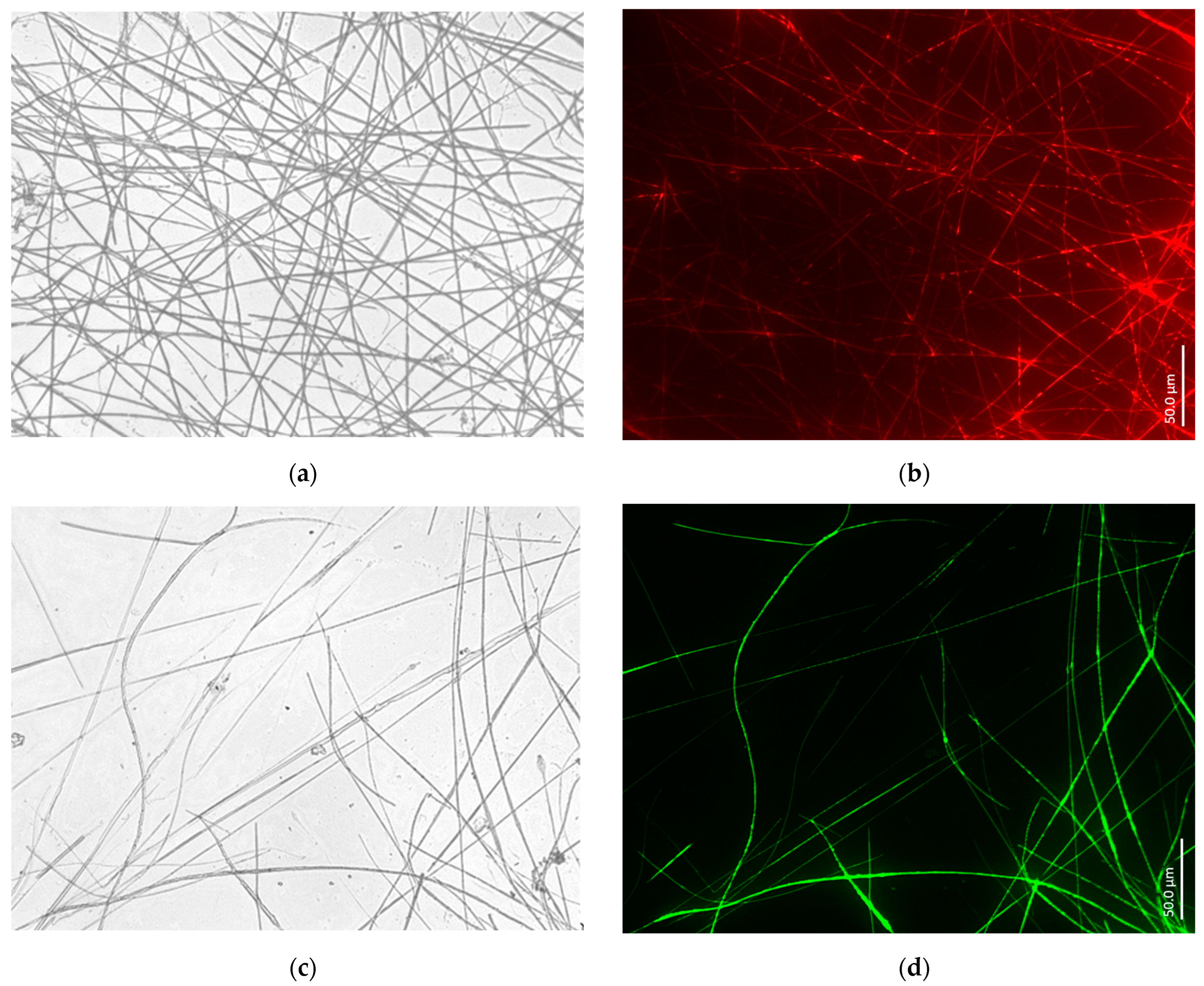 Biomimetics 09 00393 g008a