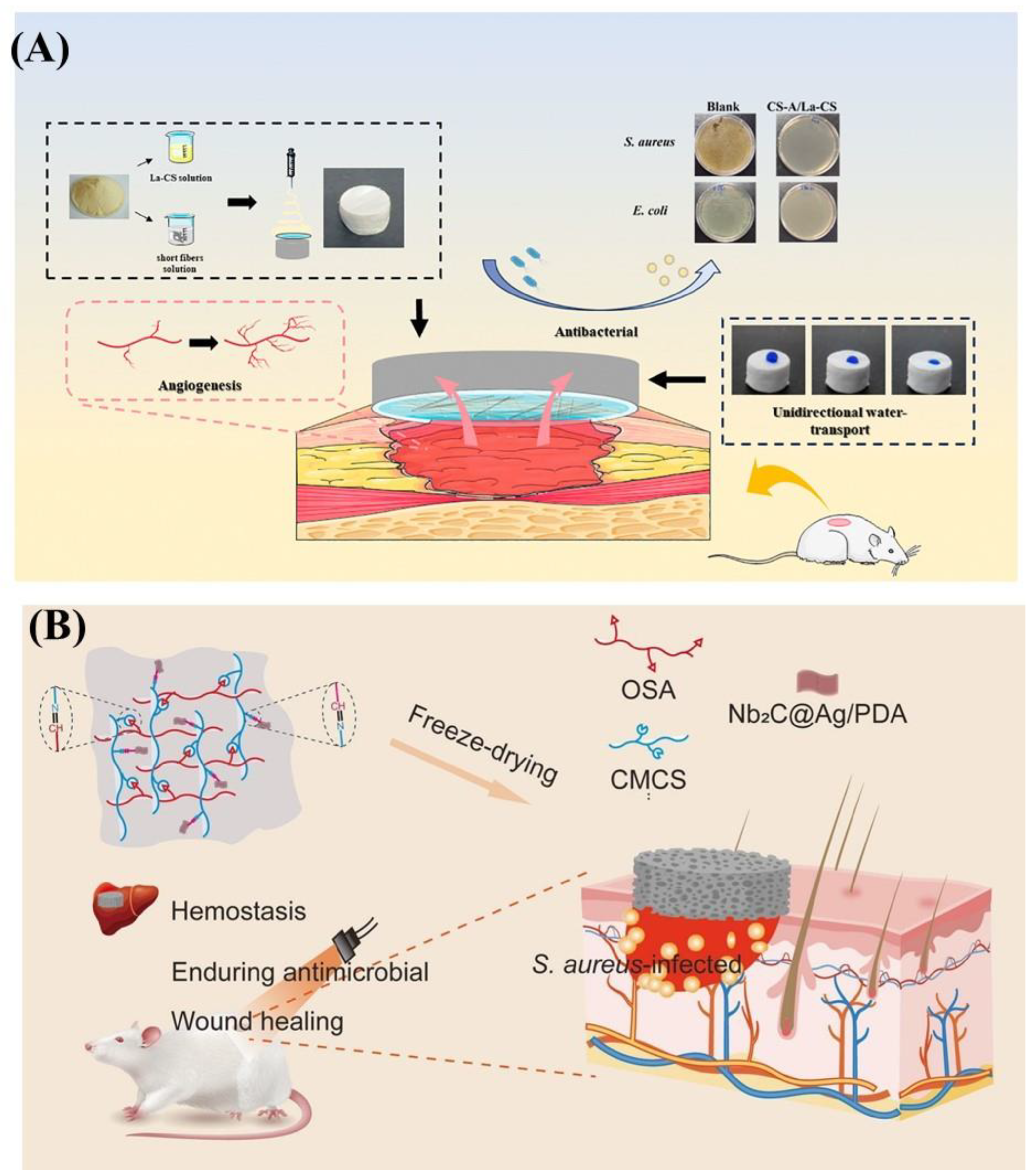 Biomimetics 09 00397 g004