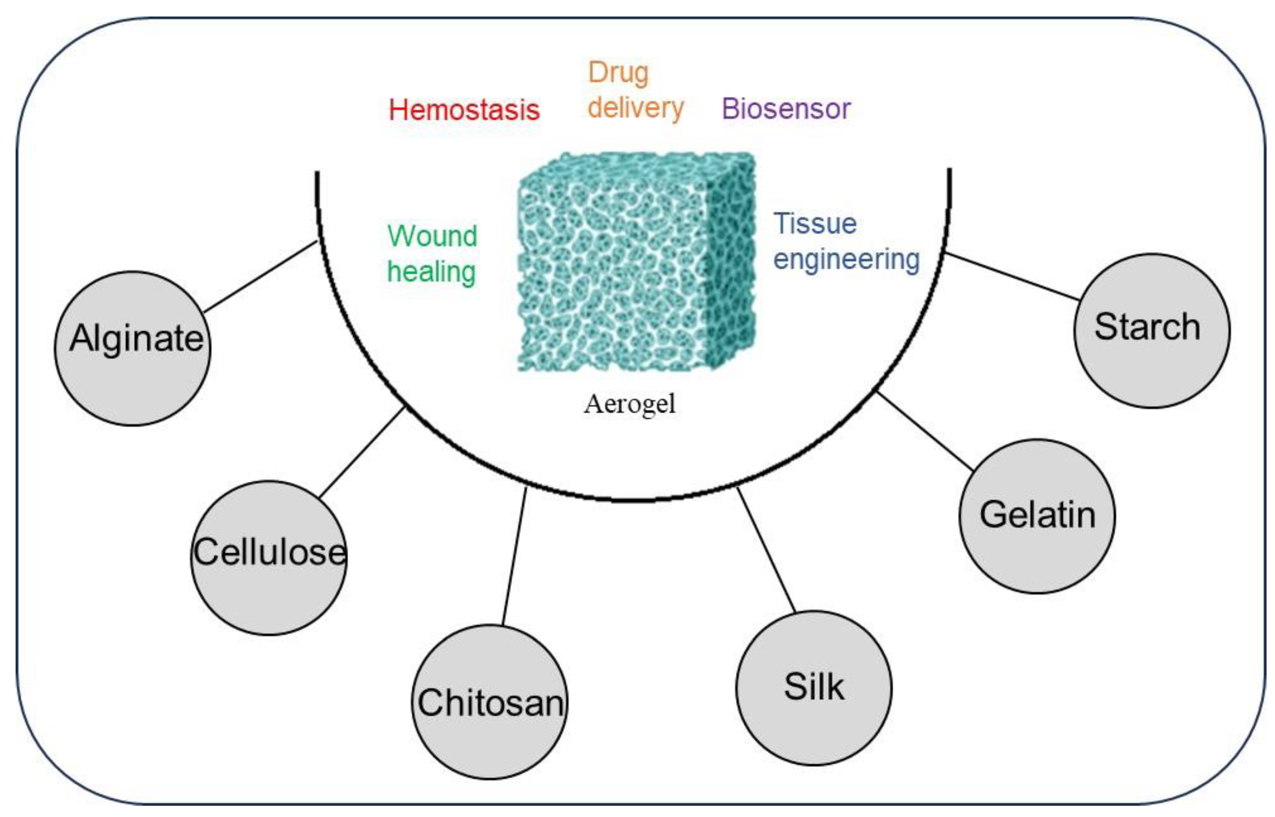 Biomimetics 09 00397 sch001