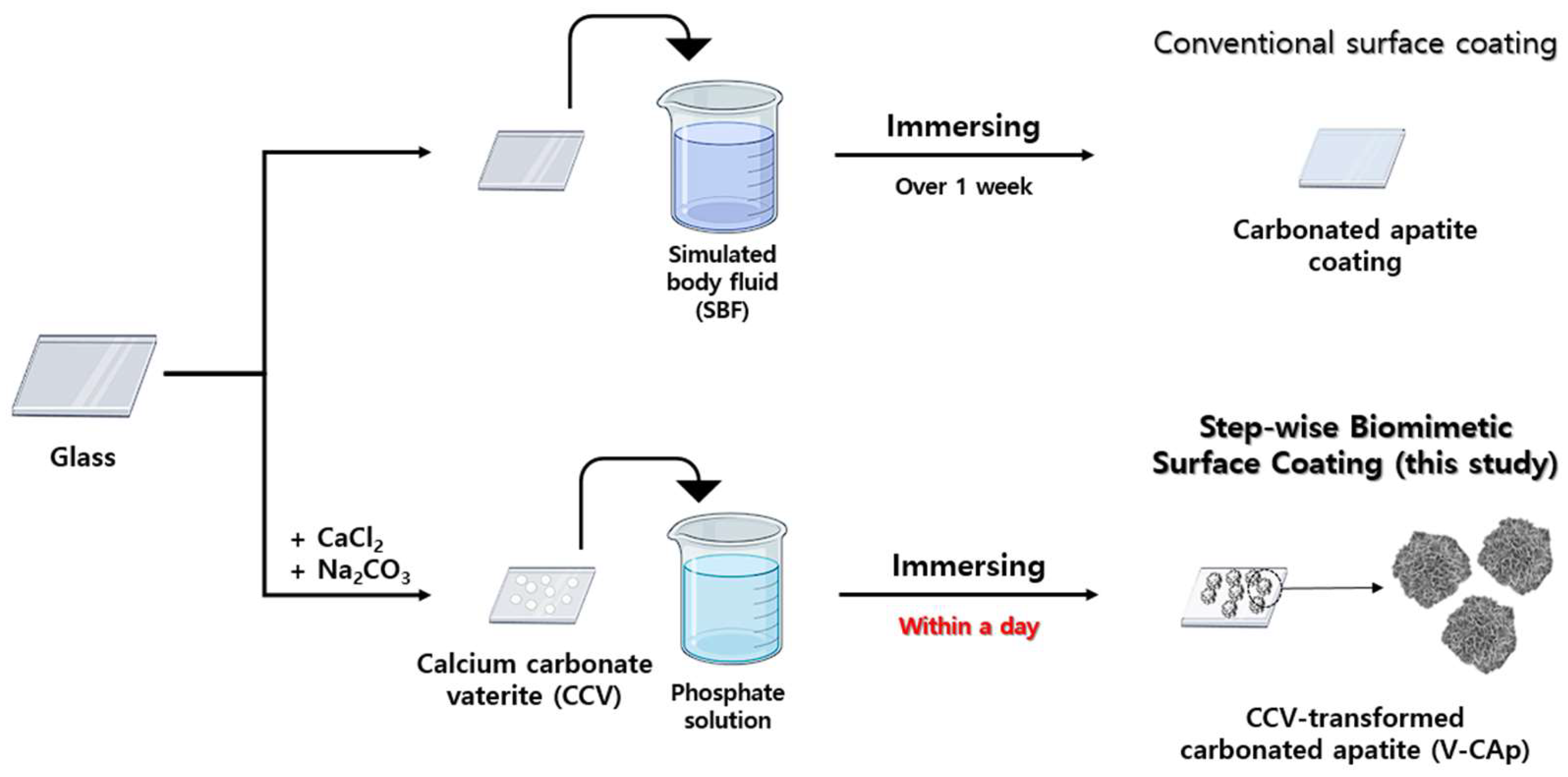 Biomimetics 09 00402 g001