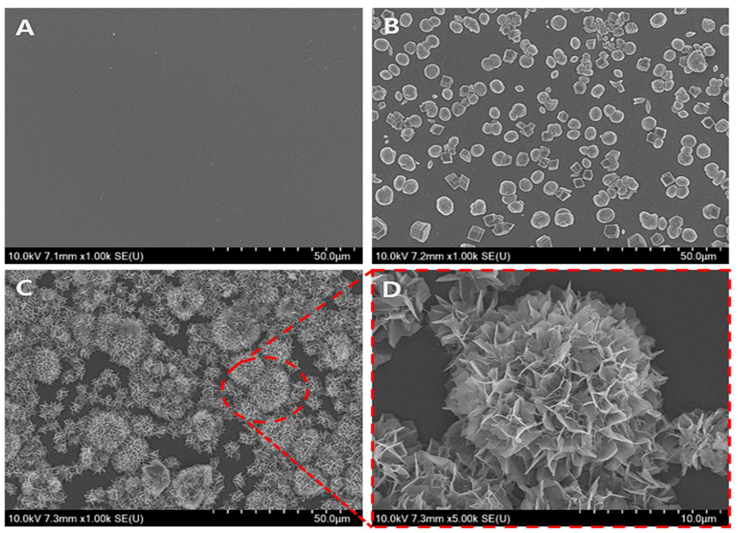 Biomimetics 09 00402 g002