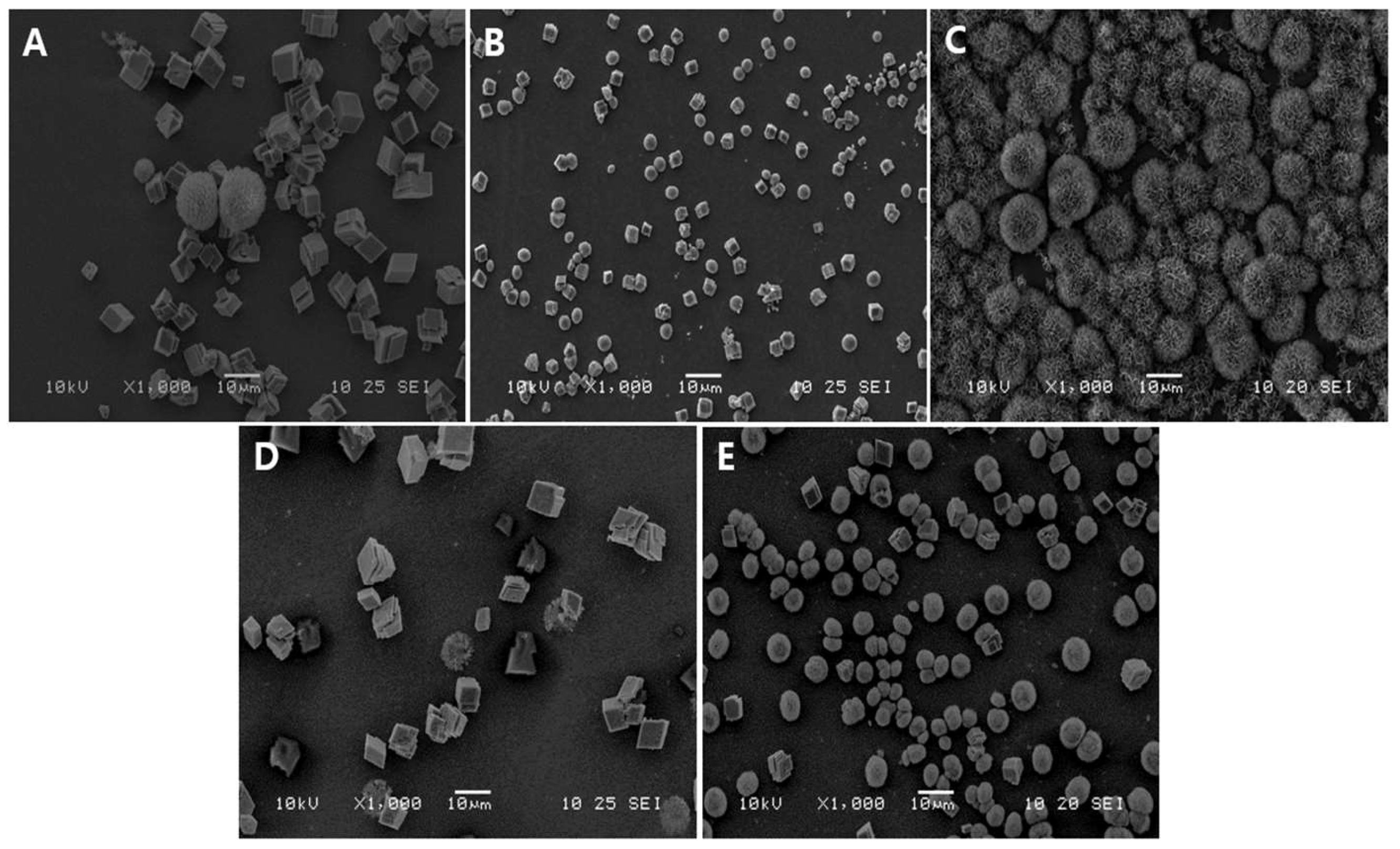 Biomimetics 09 00402 g003