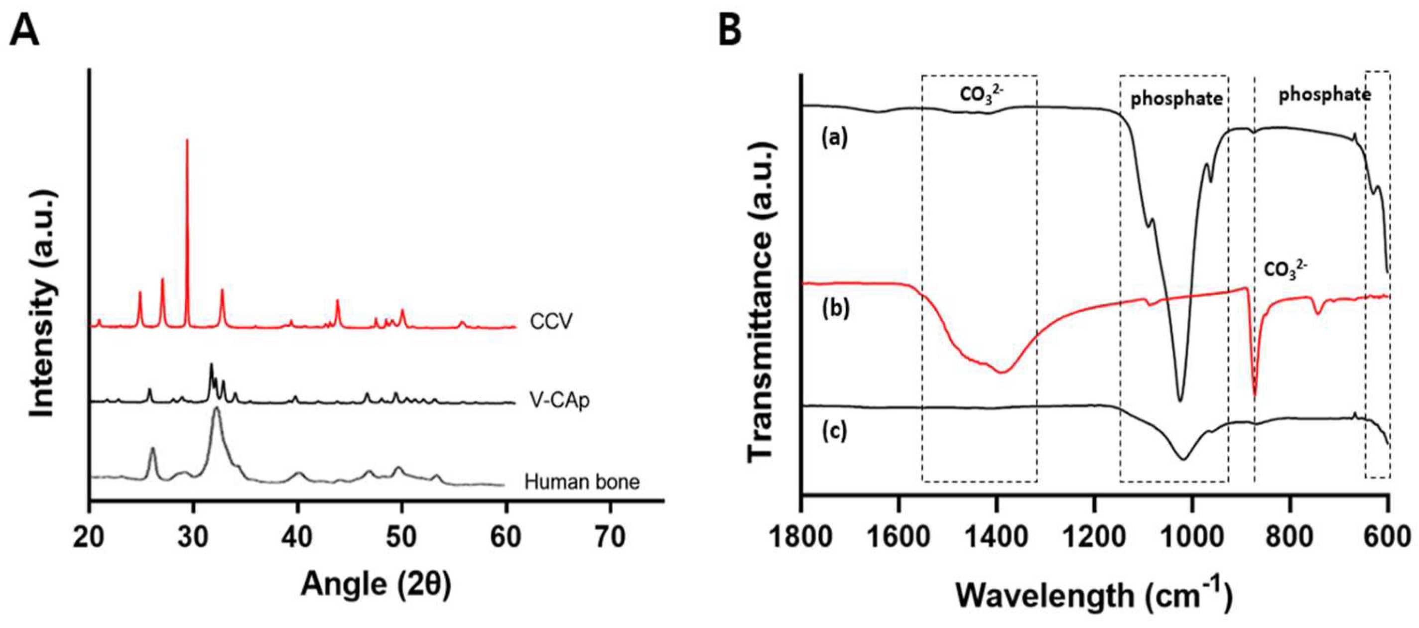 Biomimetics 09 00402 g006
