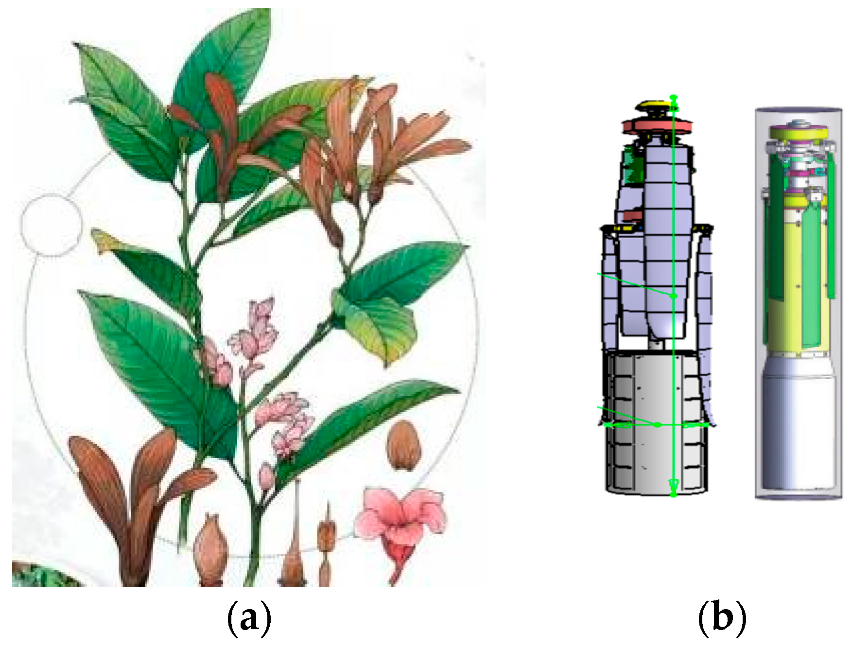 Biomimetics 09 00403 g001