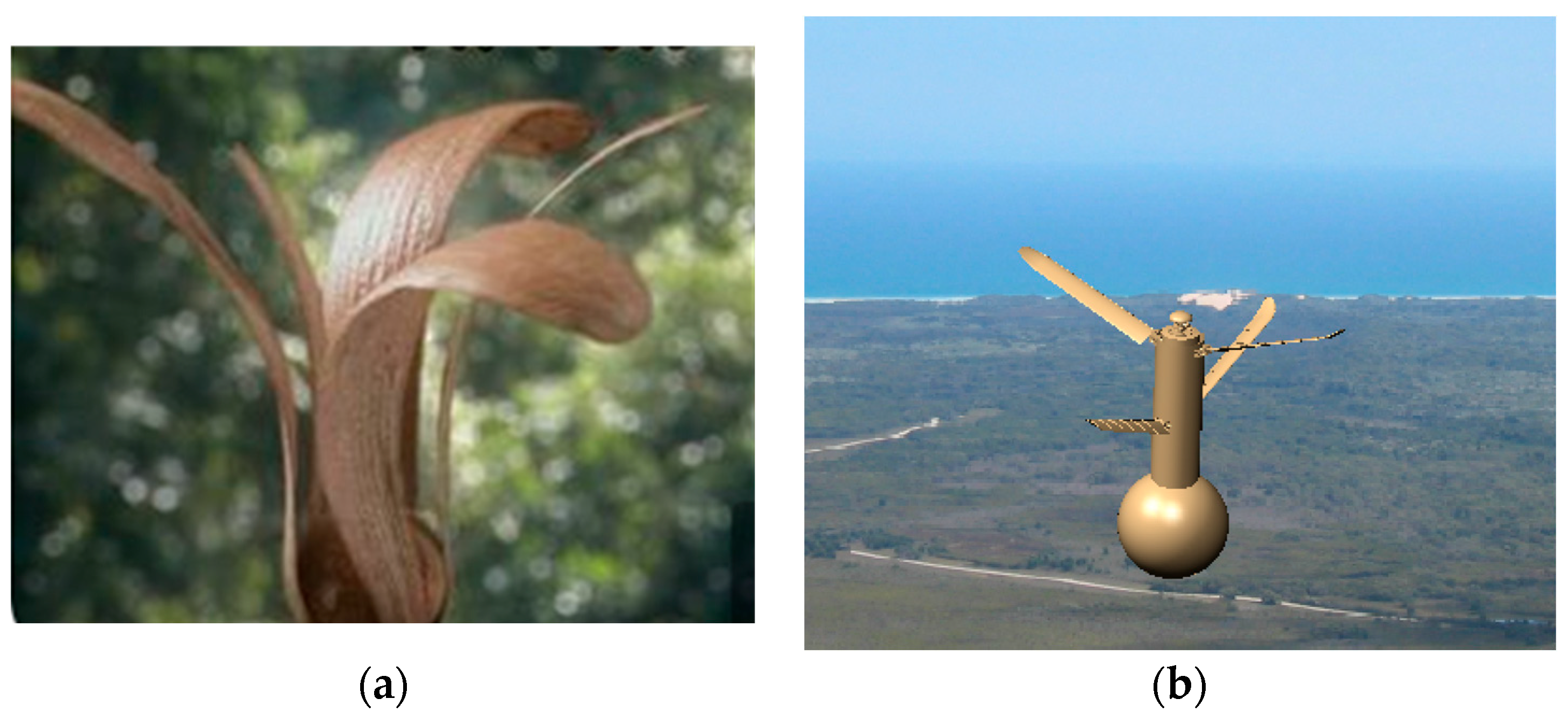 Biomimetics 09 00403 g002