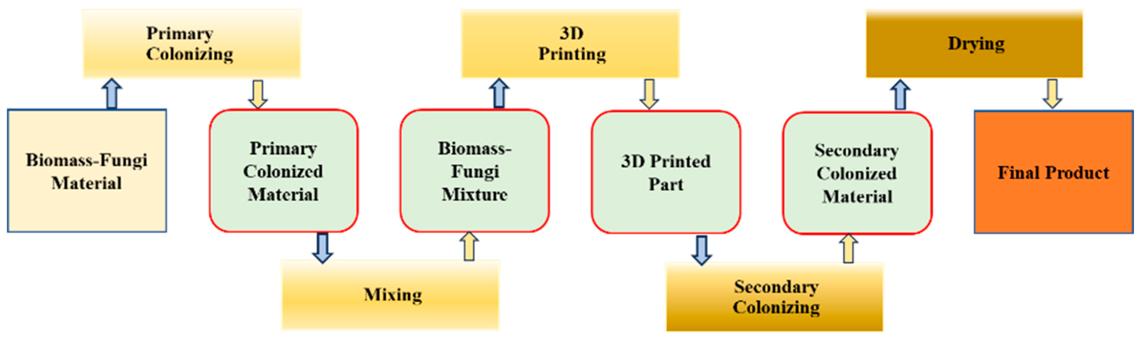 Biomimetics 09 00411 g001