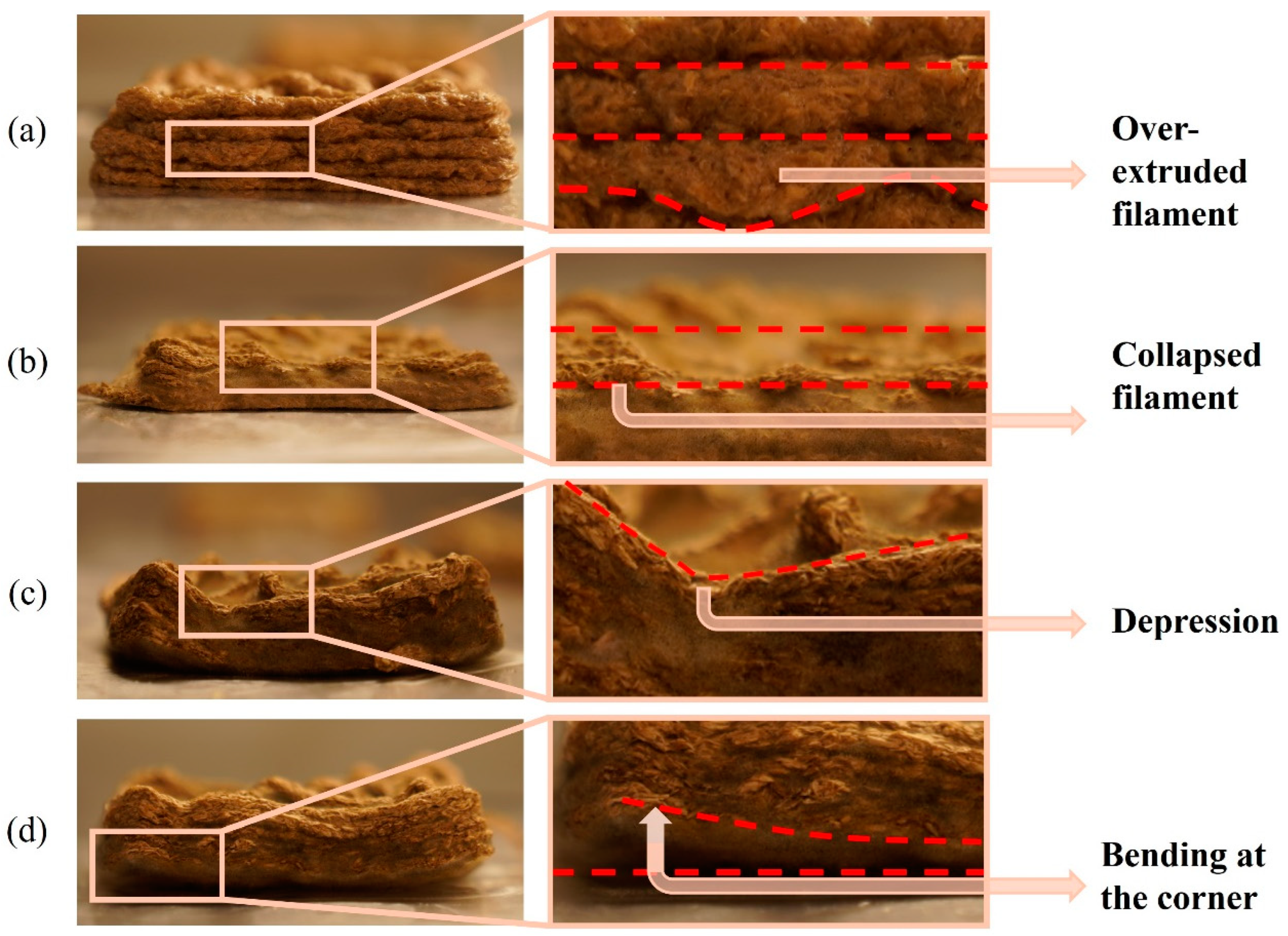 Biomimetics 09 00411 g005