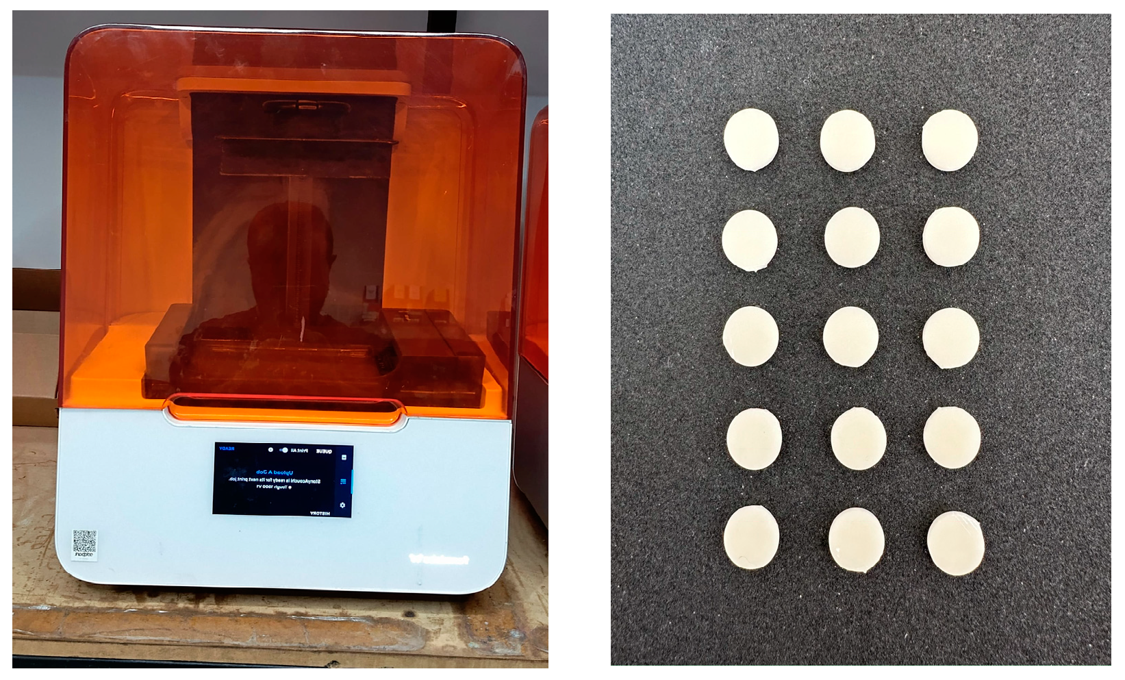 Biomimetics 09 00420 g002