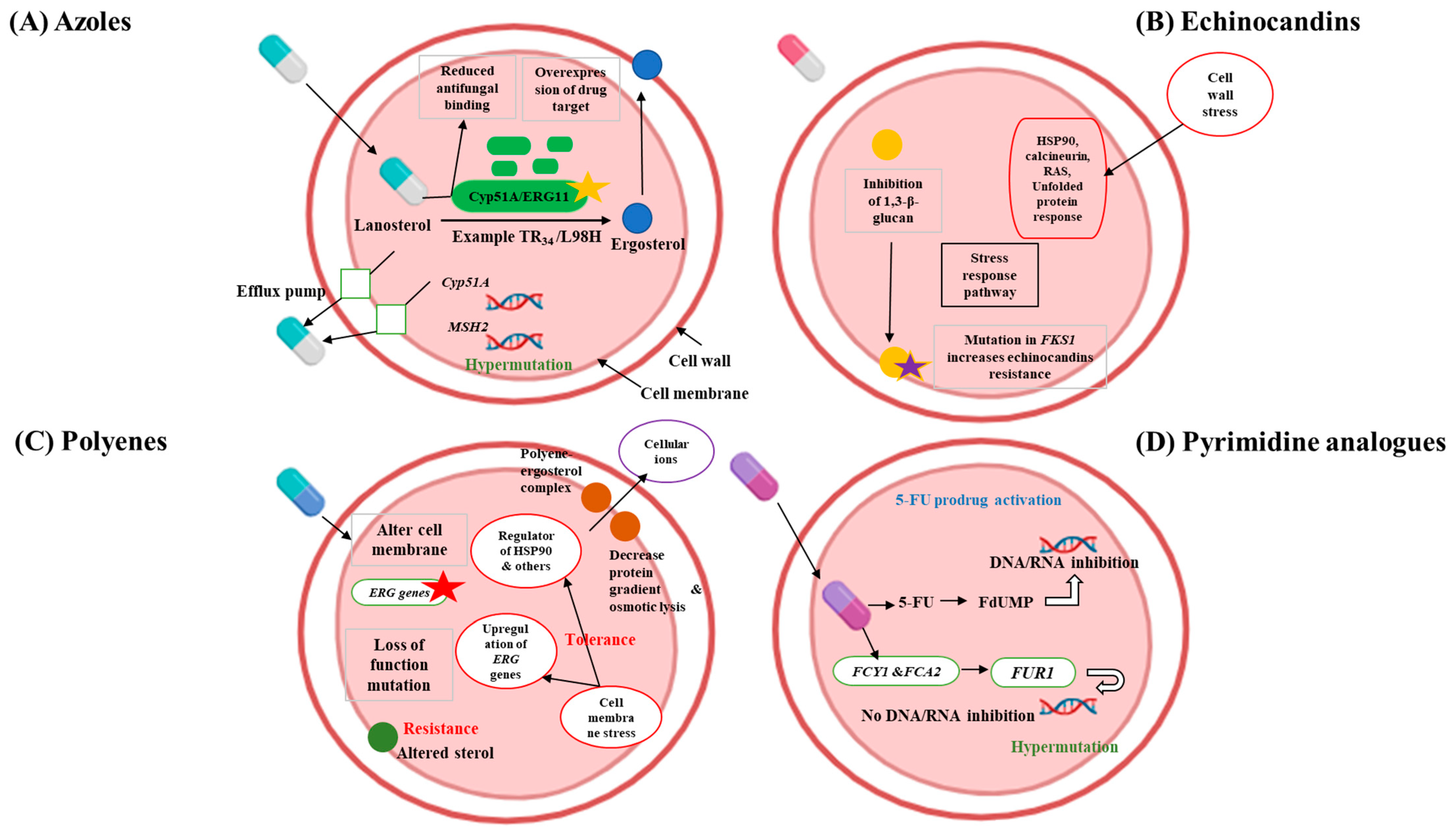 Biomimetics 09 00425 g001