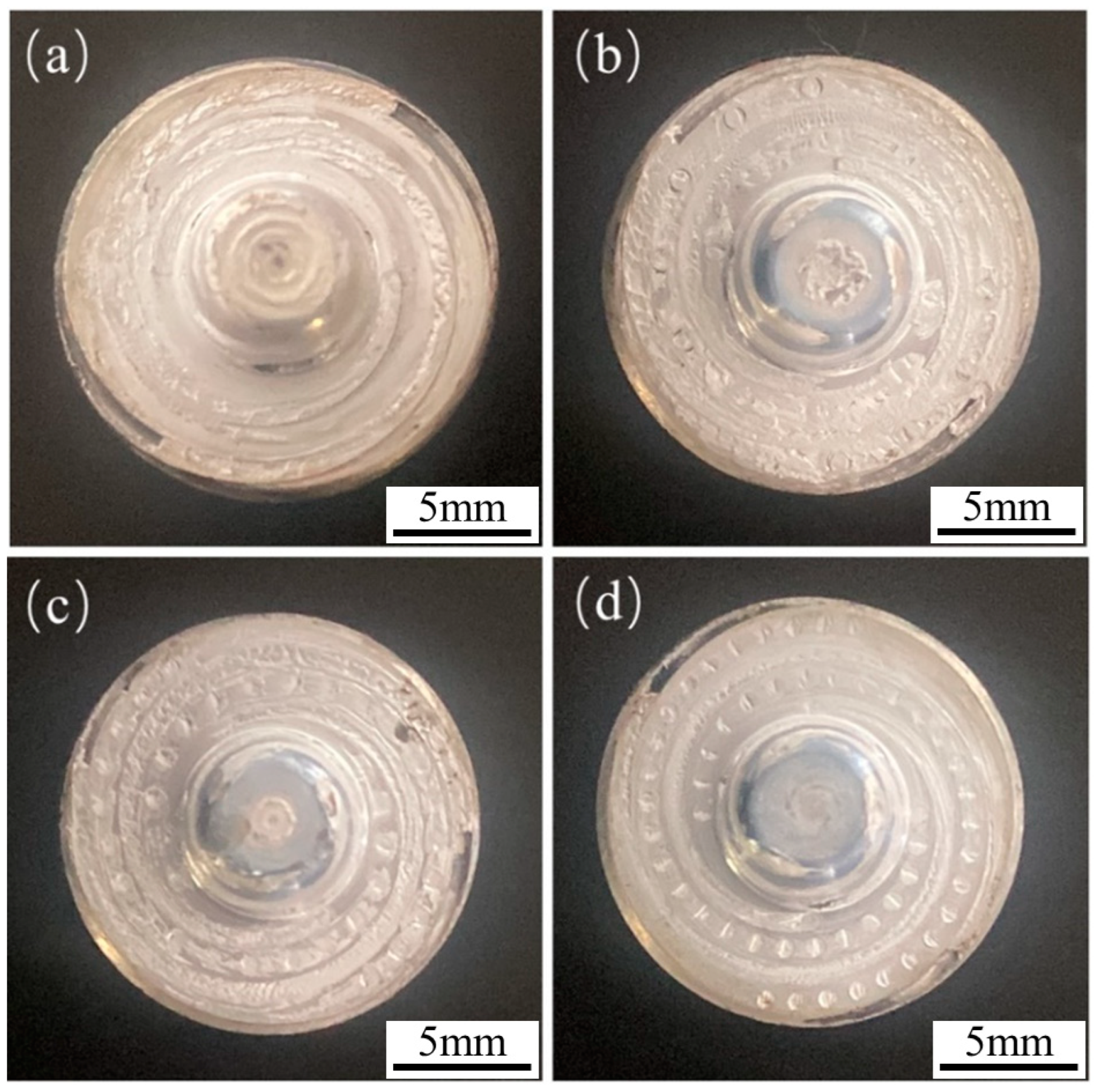 Biomimetics 09 00427 g009