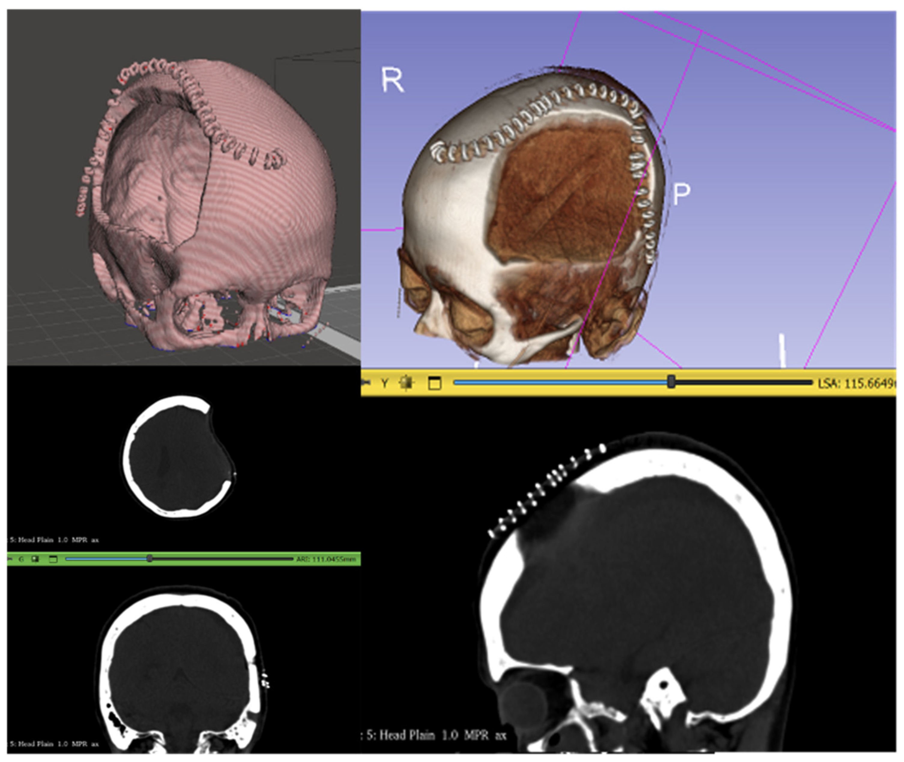 Biomimetics 09 00430 g002