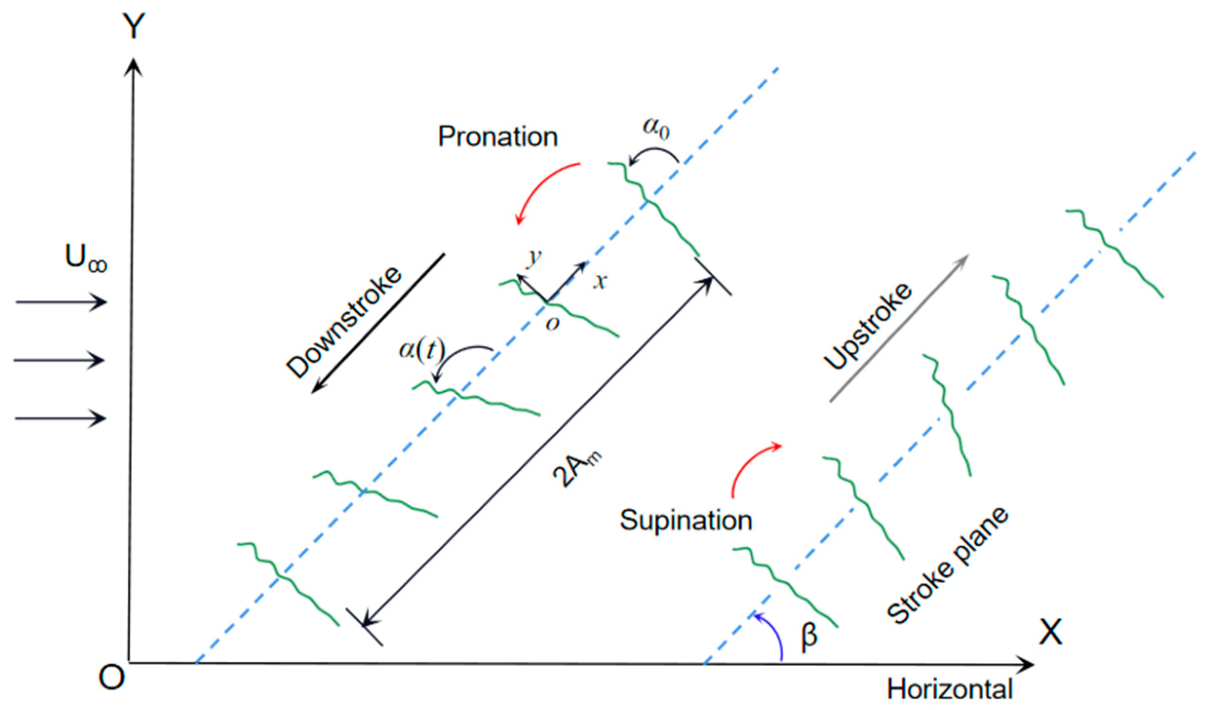 Biomimetics 09 00433 g001