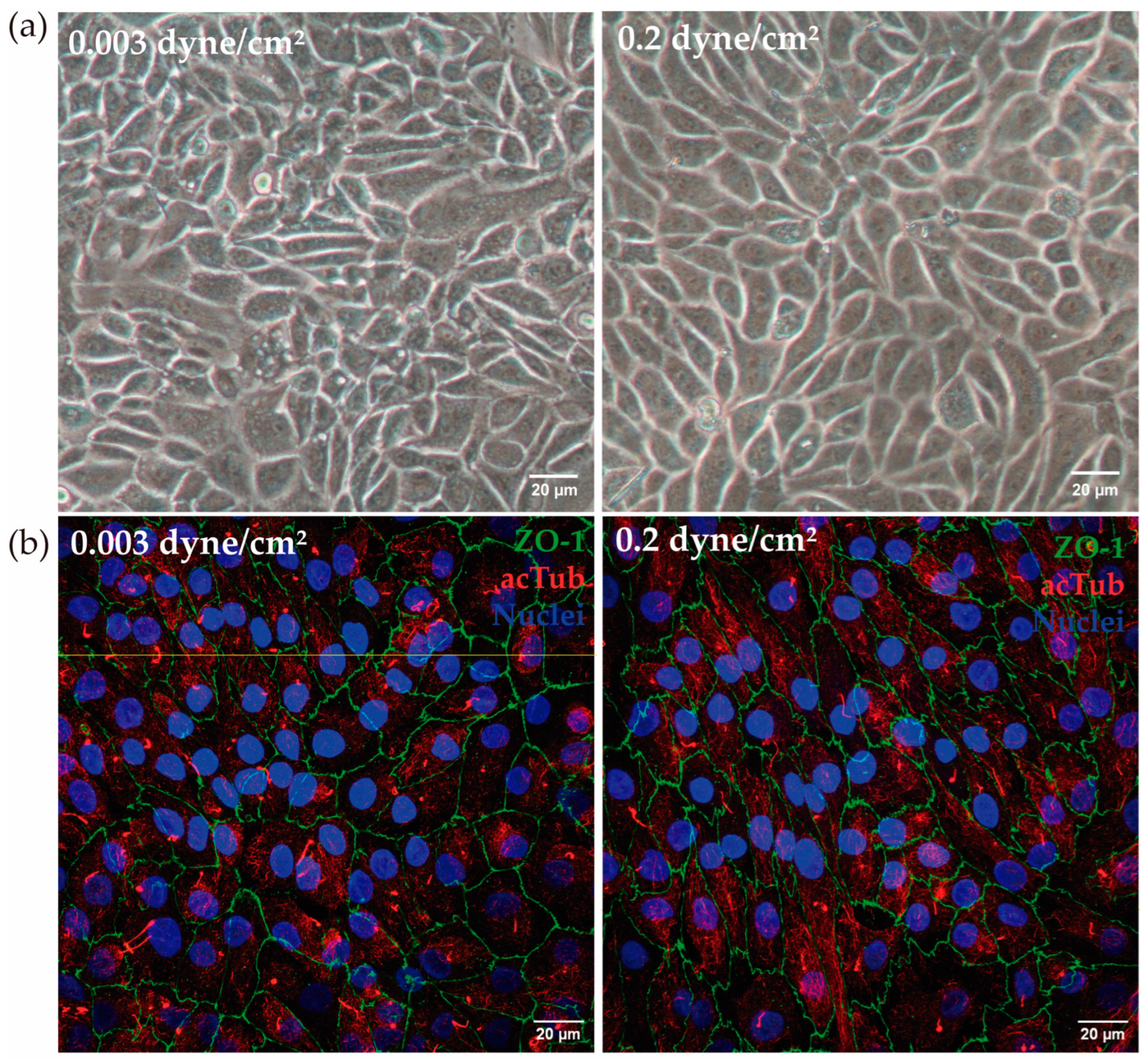 Biomimetics 09 00446 g003