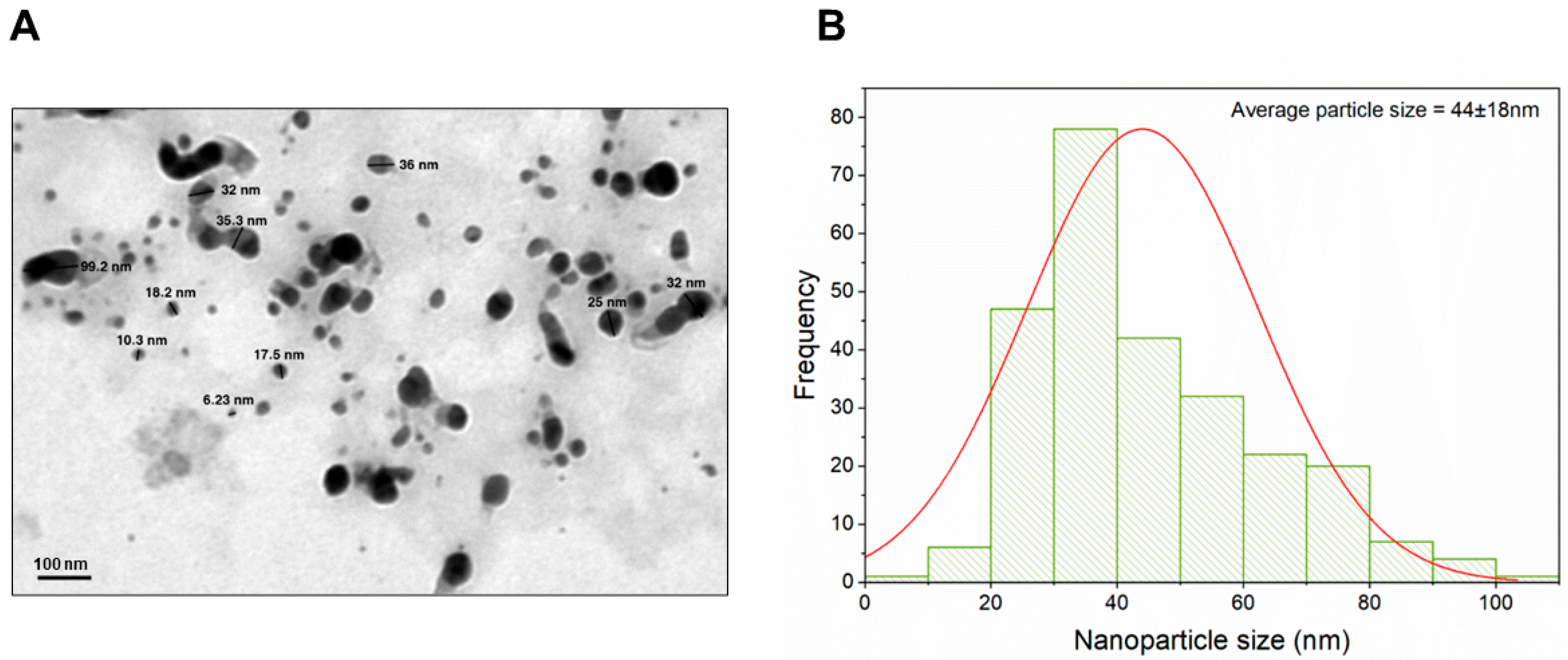 Biomimetics 09 00456 g004