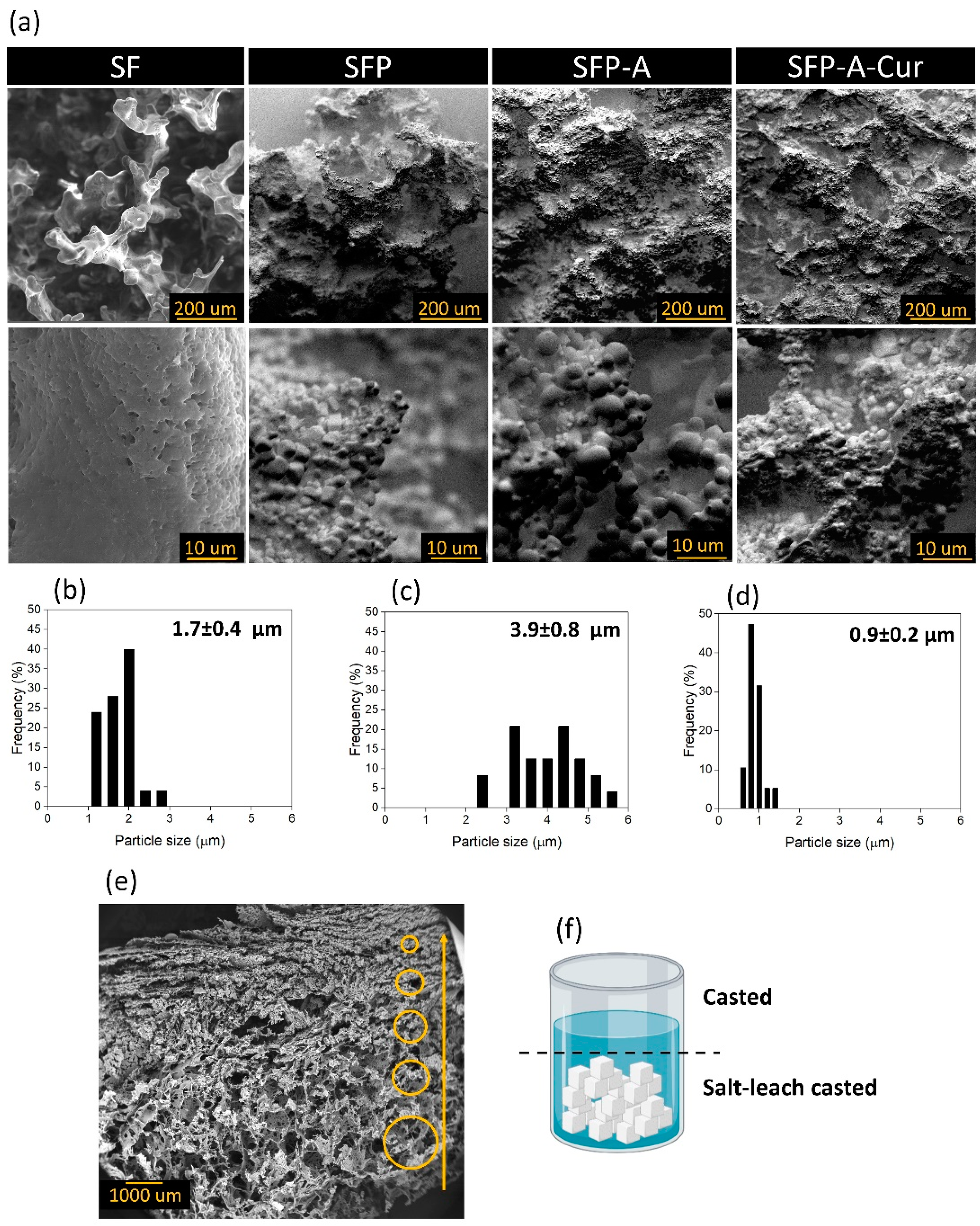 Biomimetics 09 00483 g001 Biomimetics 09 00483 g001