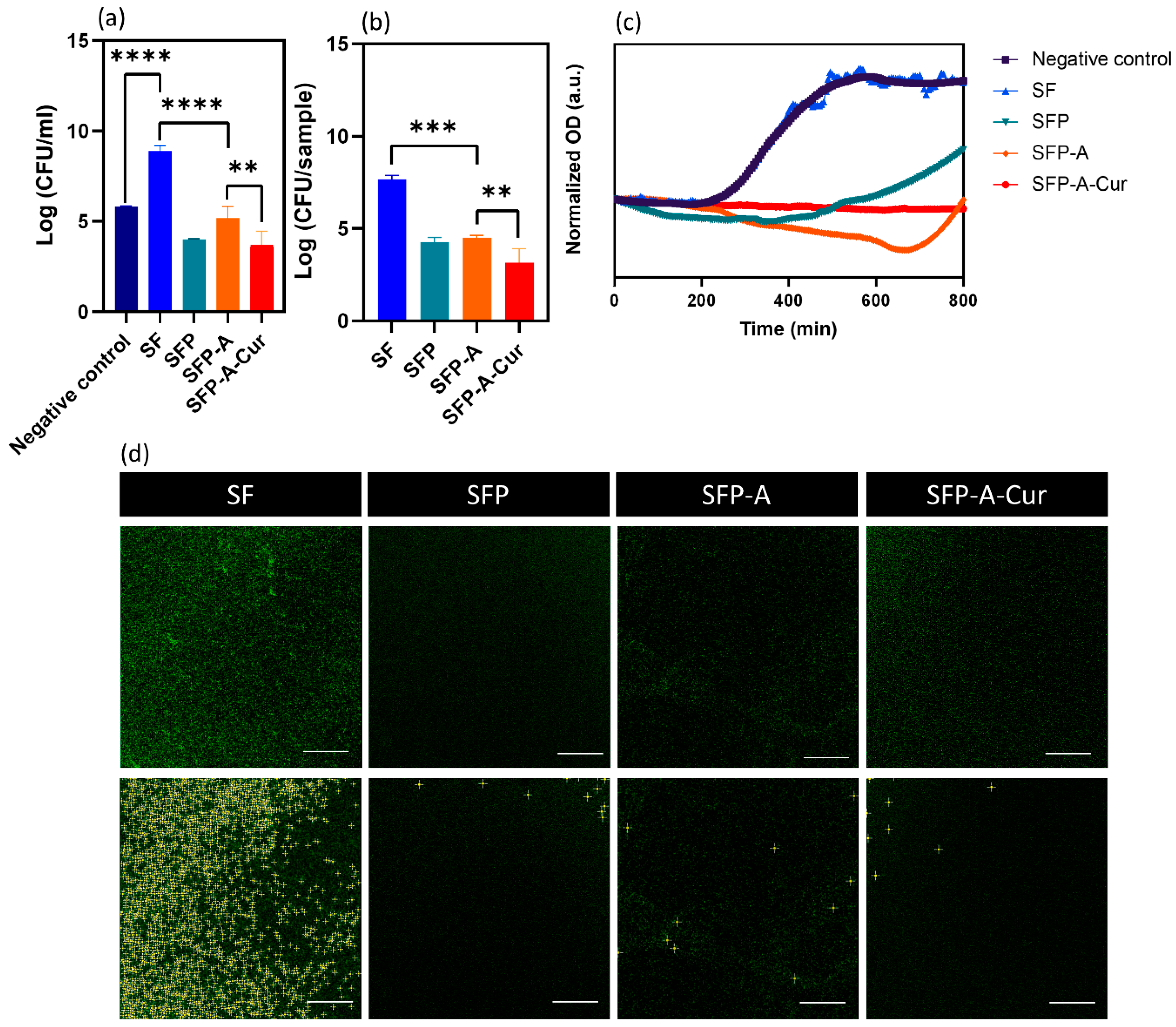 Biomimetics 09 00483 g005 Biomimetics 09 00483 g005
