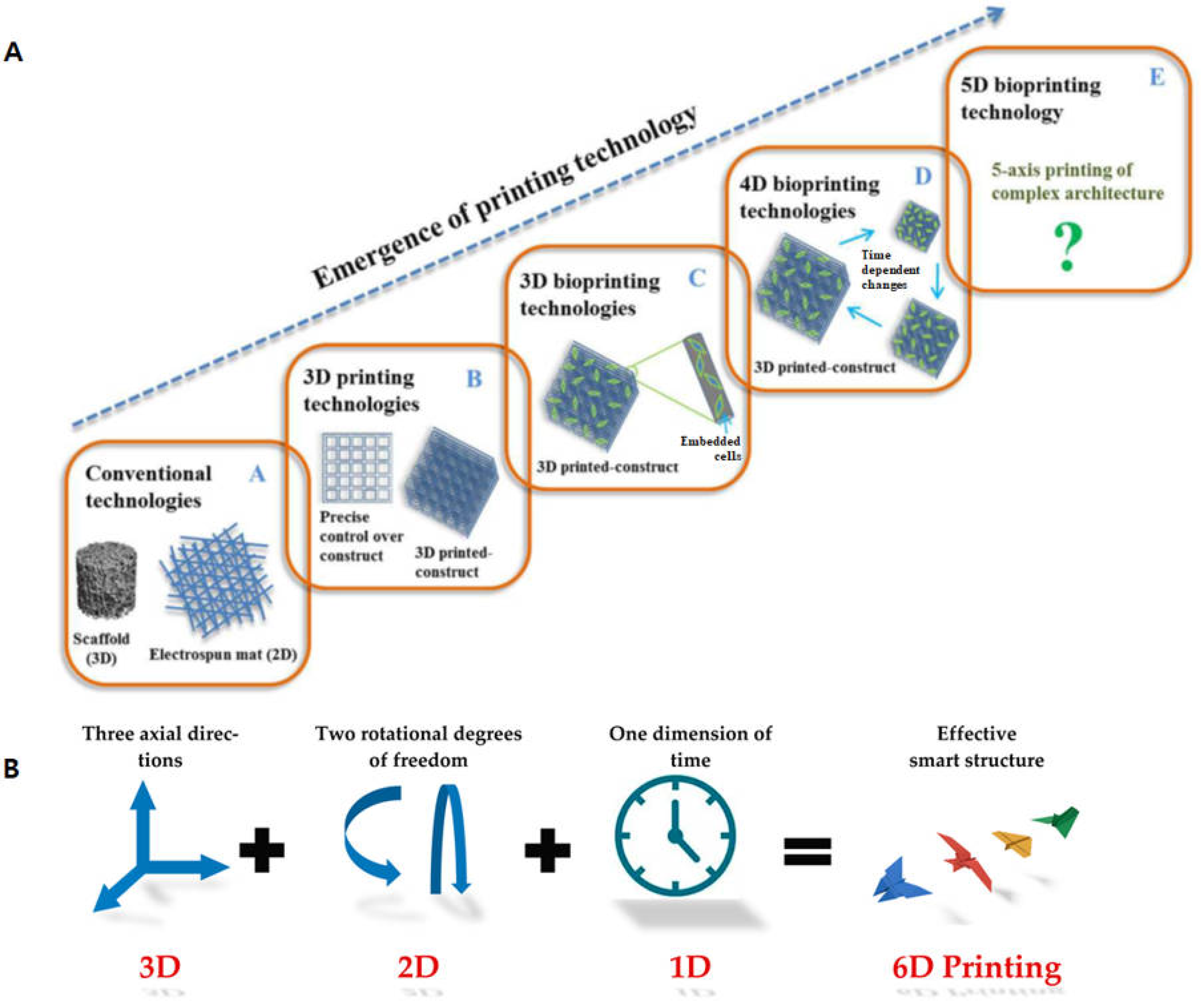 Biomimetics 09 00484 g004