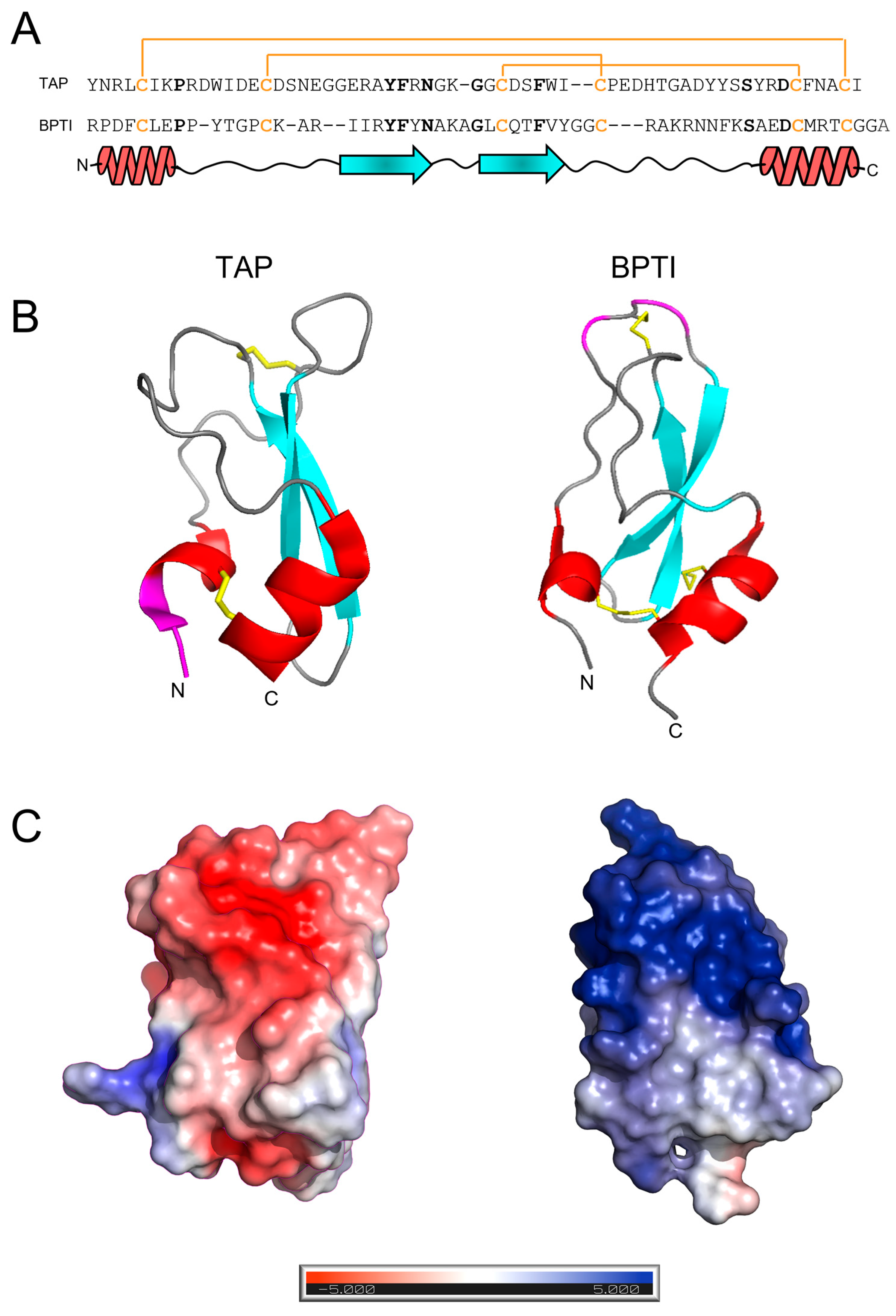 Biomimetics 09 00485 g001