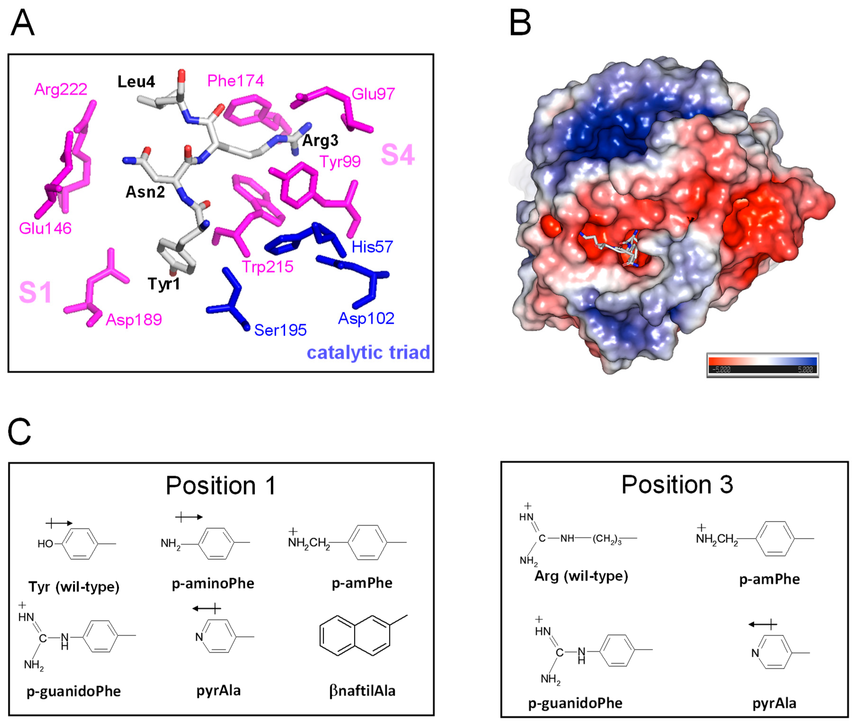 Biomimetics 09 00485 g006