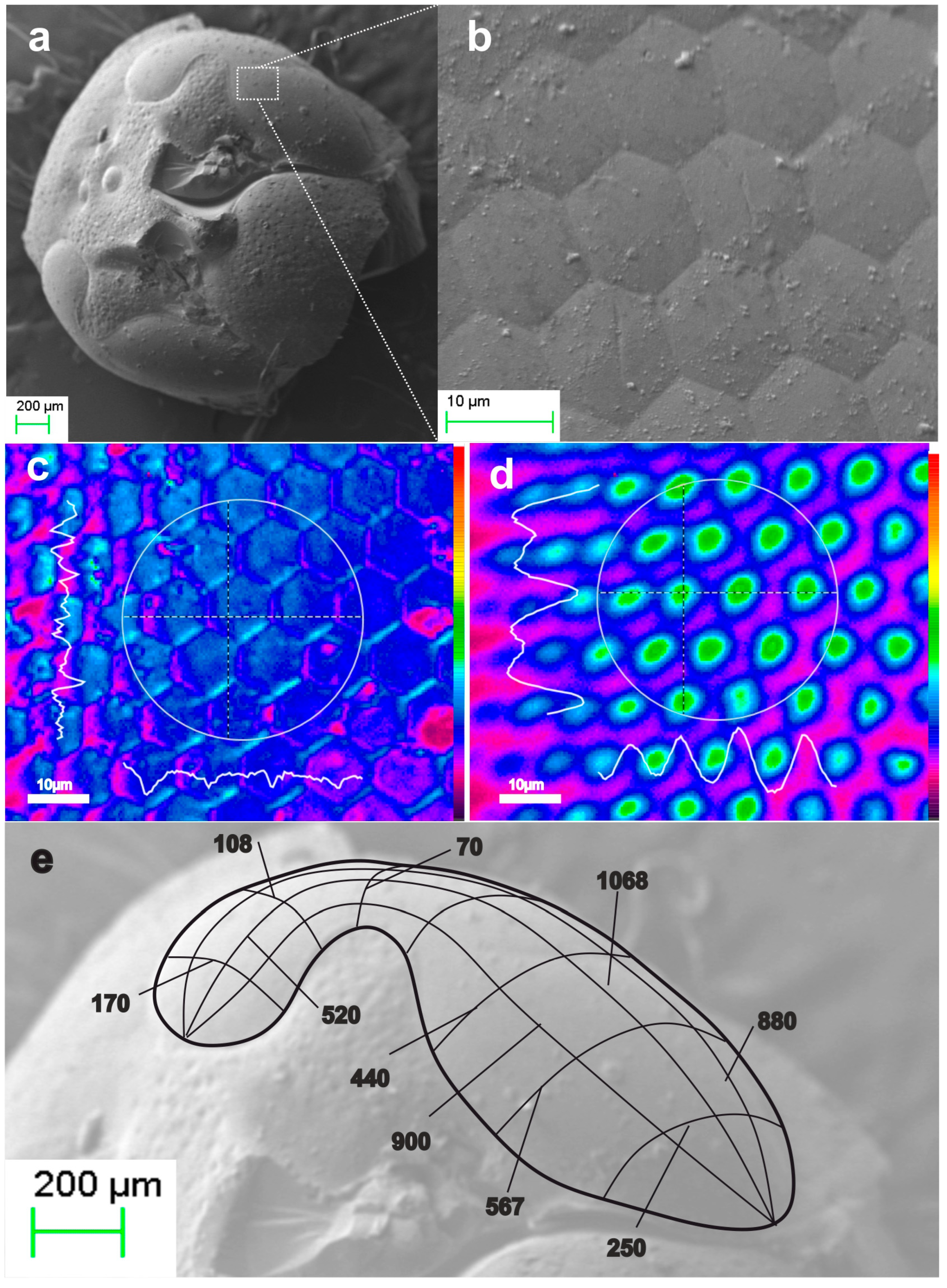 Biomimetics 09 00487 g008