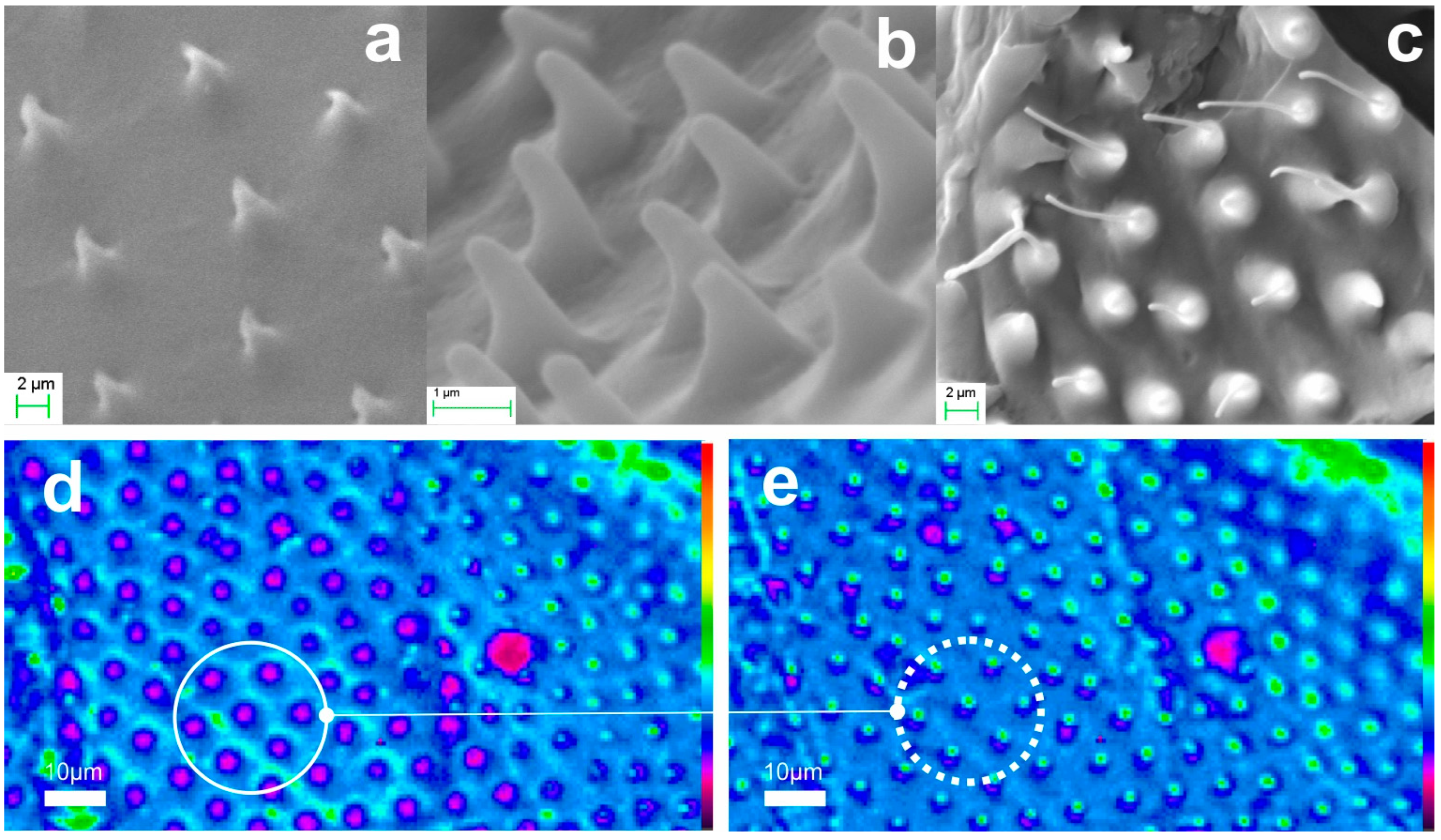 Biomimetics 09 00487 g012