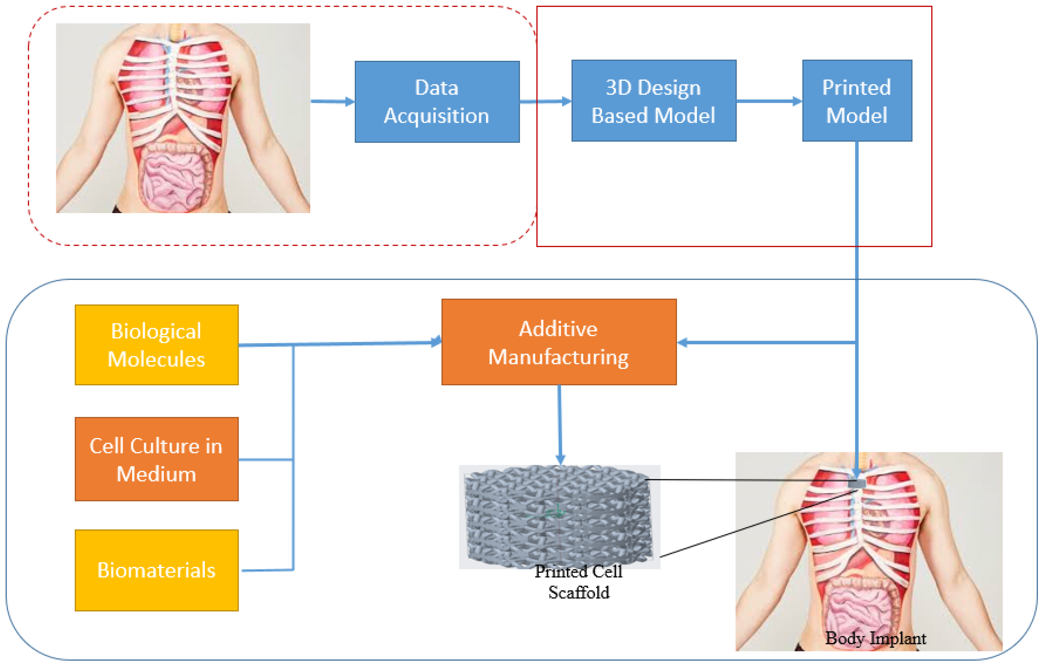 Biomimetics 09 00490 g007