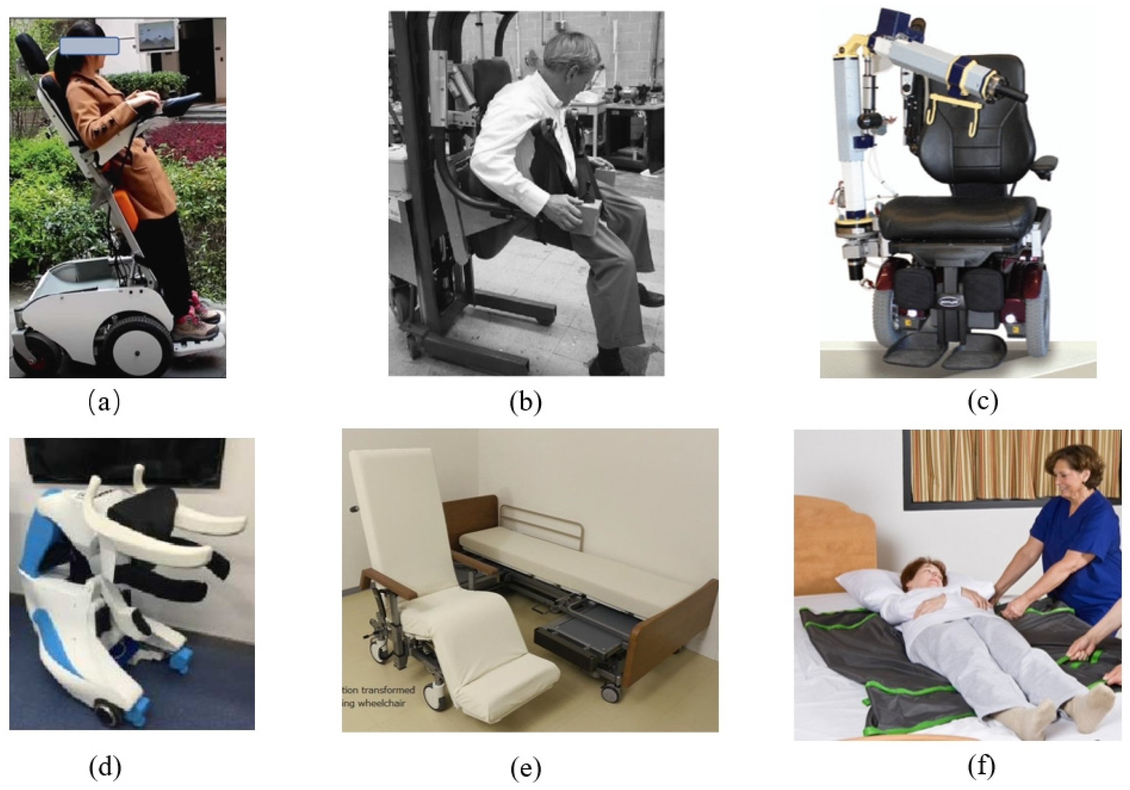 Biomimetics 09 00492 g002