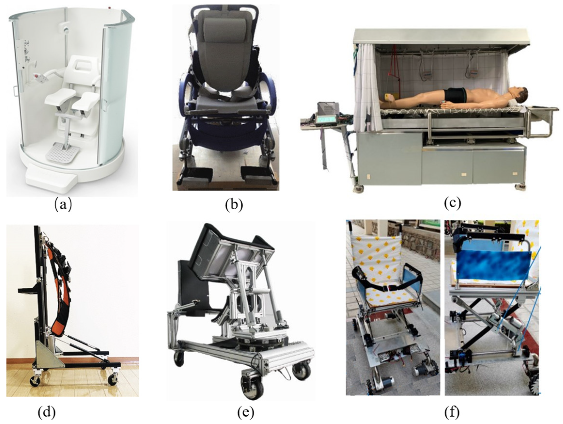 Biomimetics 09 00492 g004