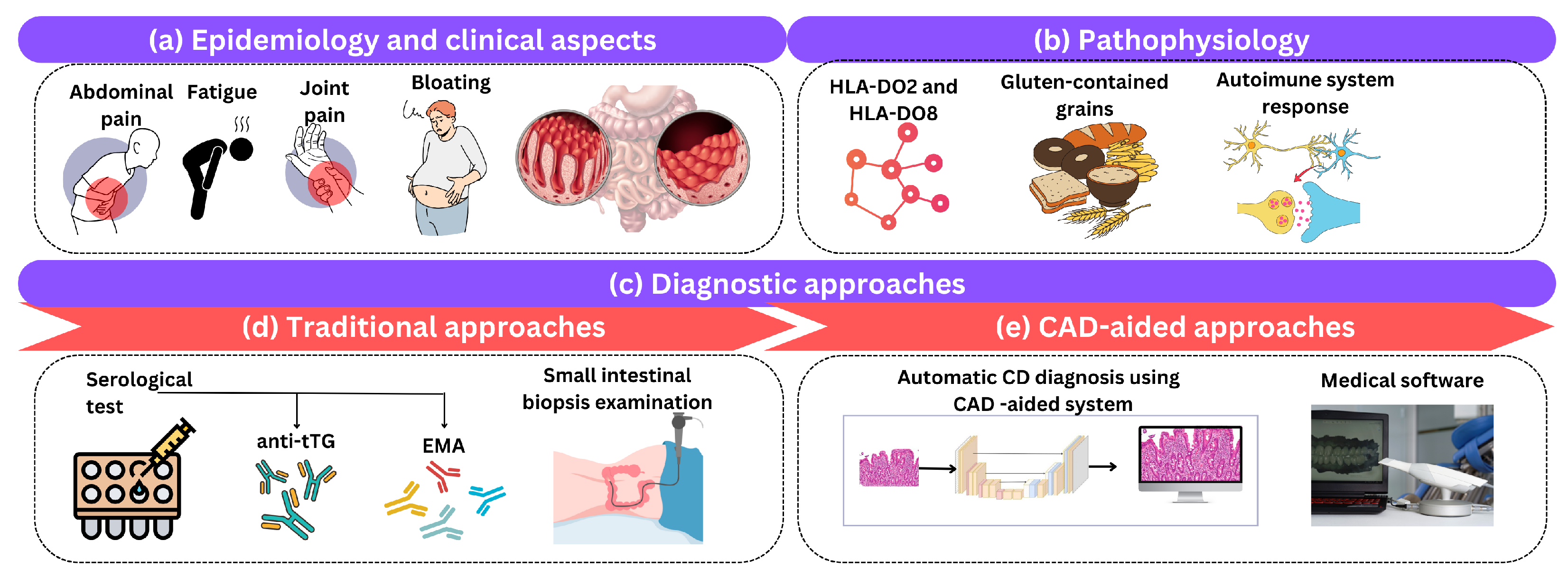 Biomimetics 09 00493 g003