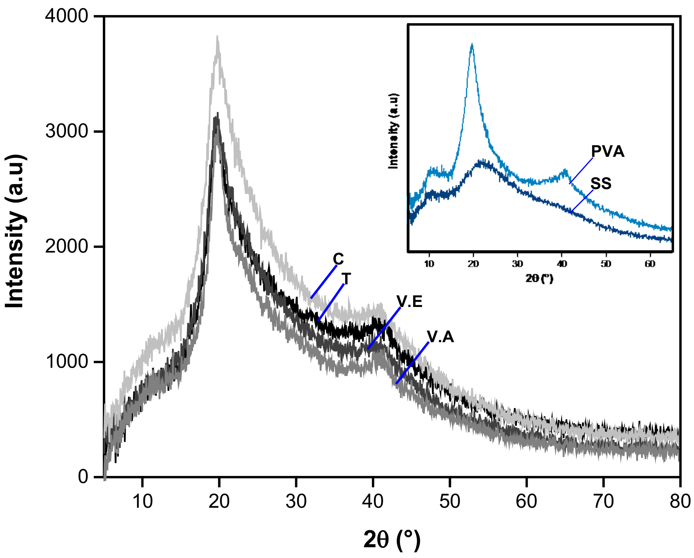 Biomimetics 09 00497 g002